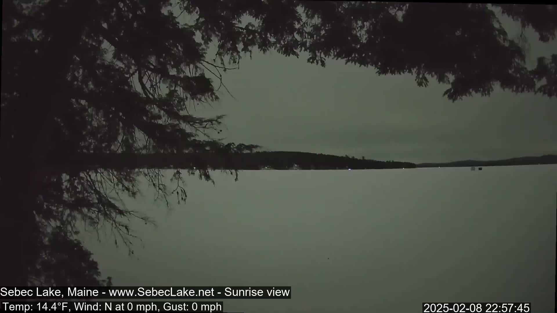 A dark, still, and cold night scene shows a frozen lake under an overcast sky, partially obscured by overhanging tree branches.
