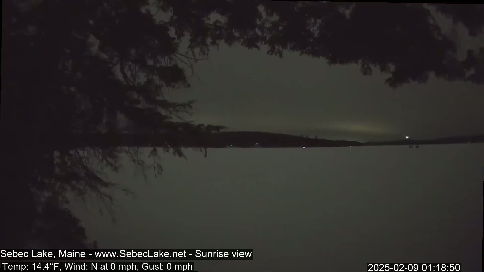 A dark, calm lake is visible under a gray, nighttime sky partially obscured by tree branches.