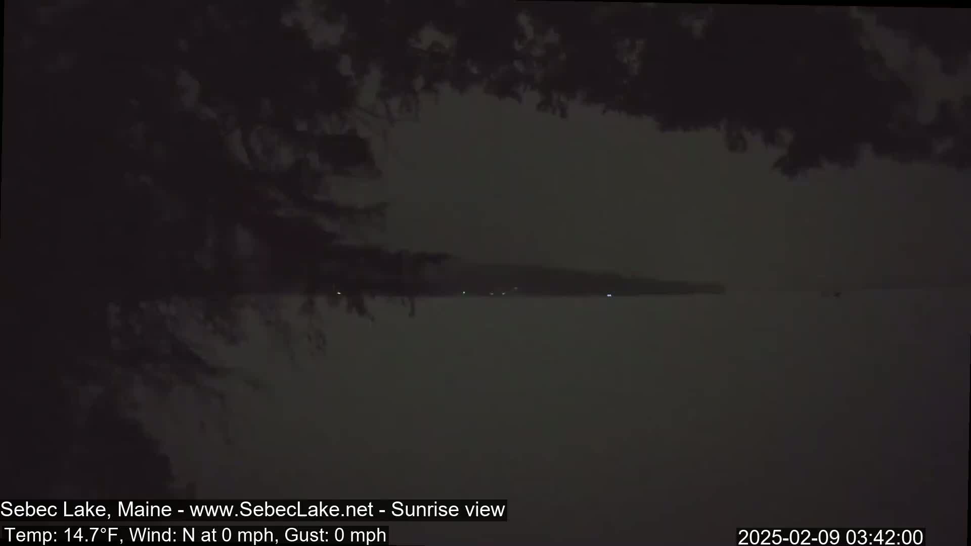 A dark, still lake is visible through the branches of a tree at night, under a cloudy sky.