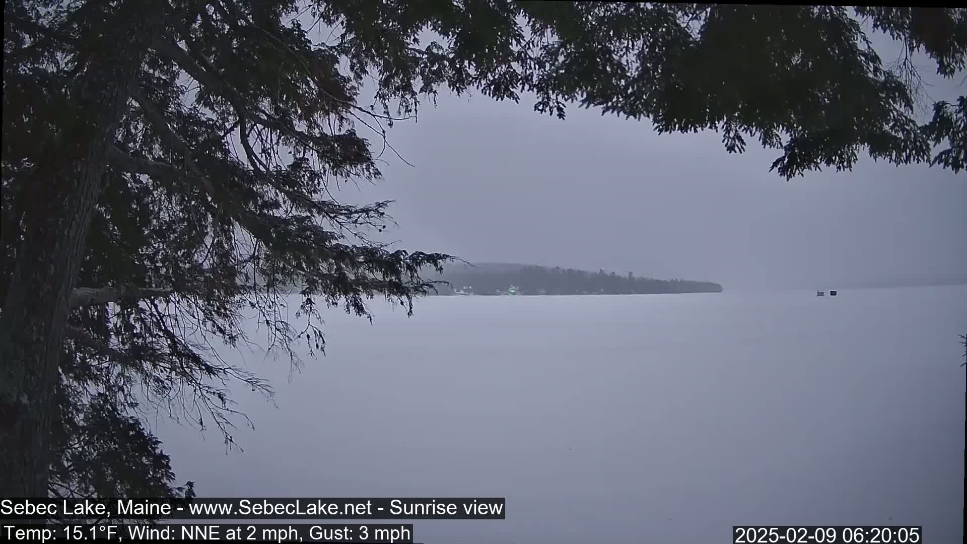 A snow-covered lake is seen through the branches of a tree on an overcast day with a light wind.