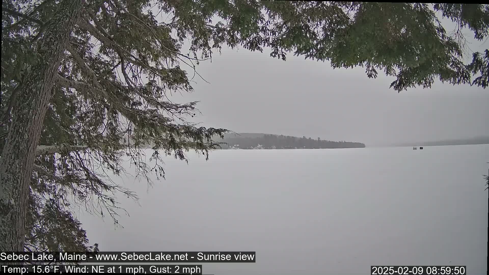 A snow-covered lake is seen through the branches of a coniferous tree in overcast weather.