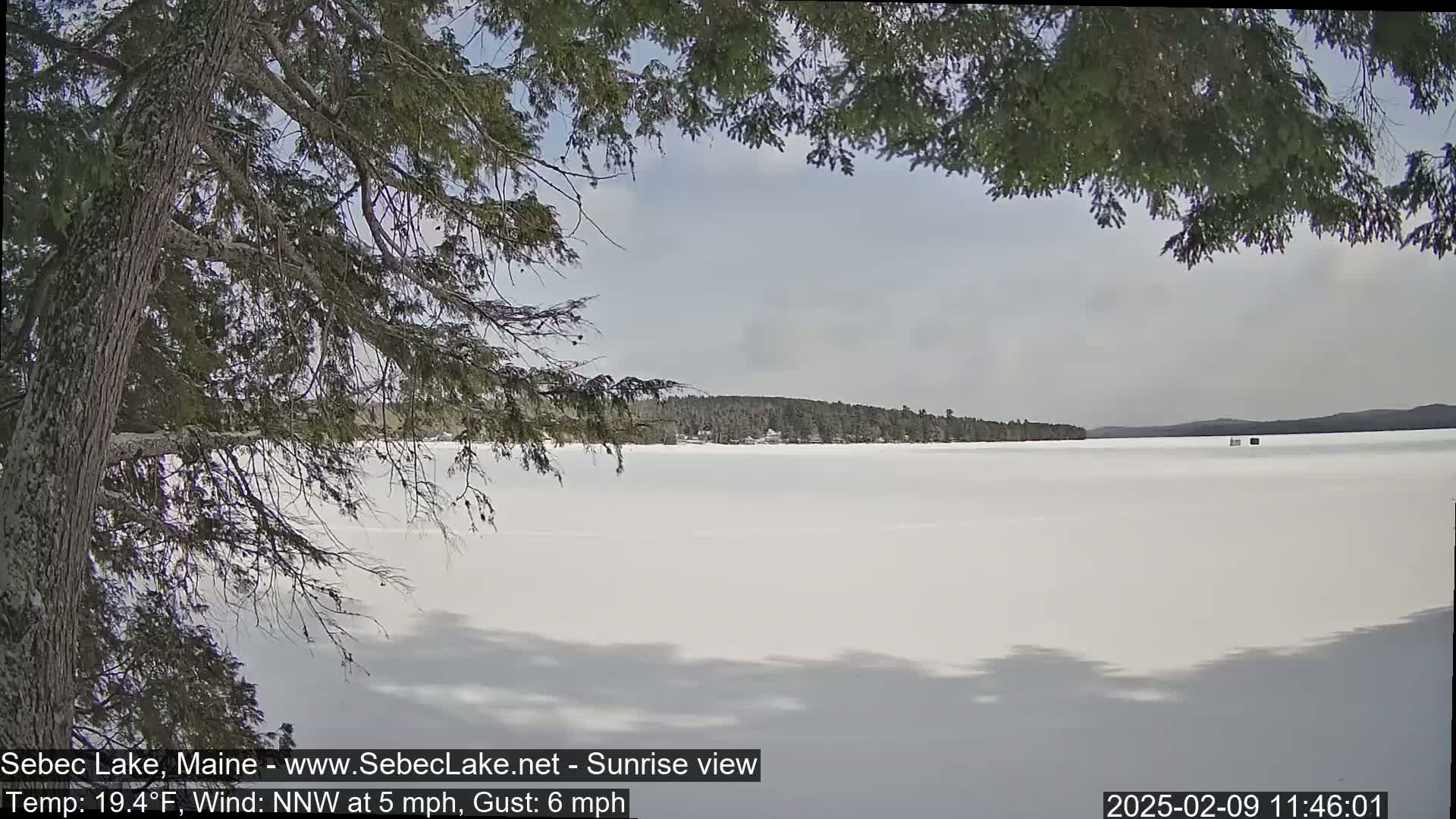 A frozen lake stretches to a treeline under a partly cloudy sky, viewed from behind tree branches.