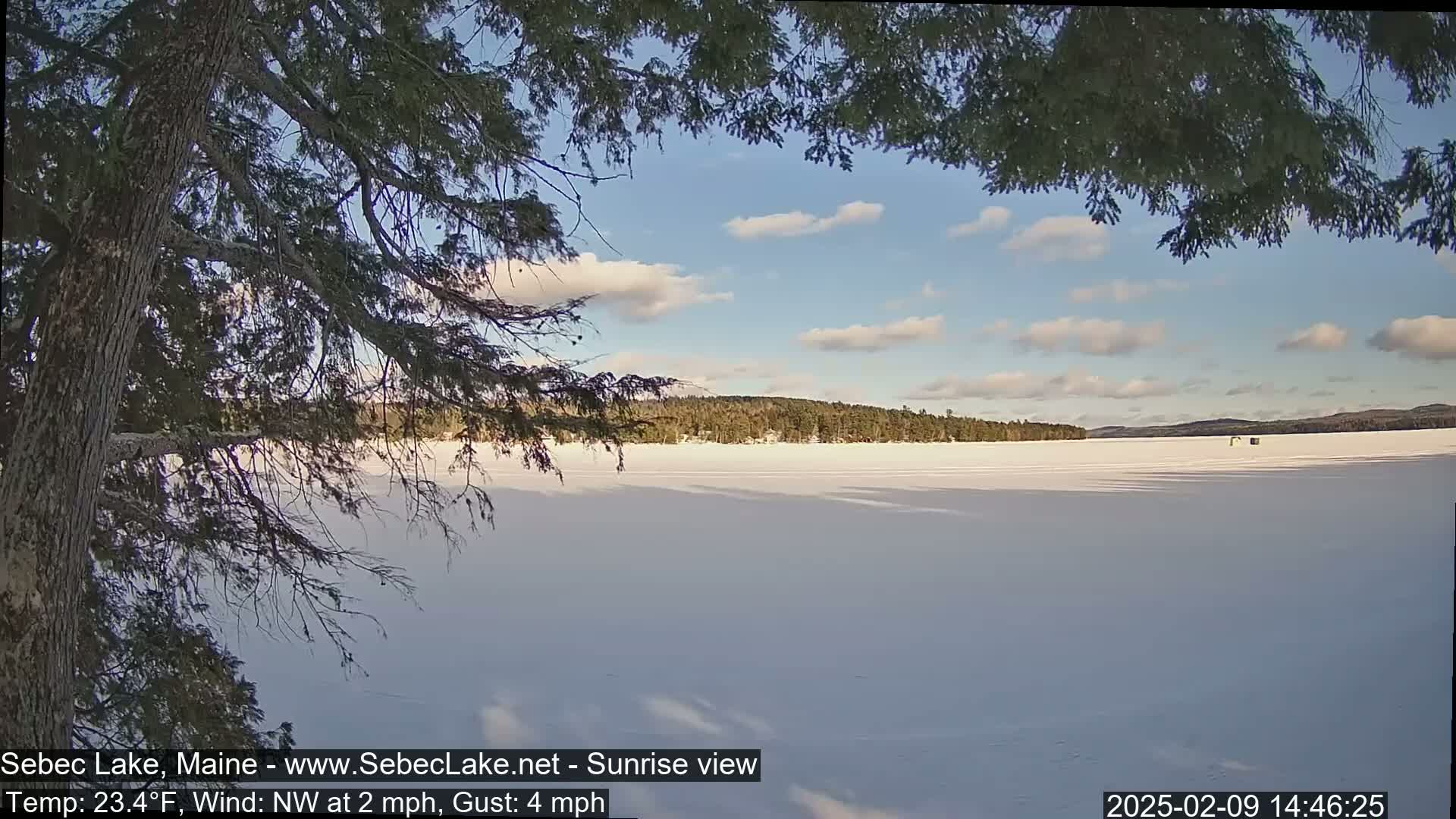 A mostly sunny, cold day shows a snow-covered lake viewed from under the branches of a conifer tree, with a treeline visible on the far shore.