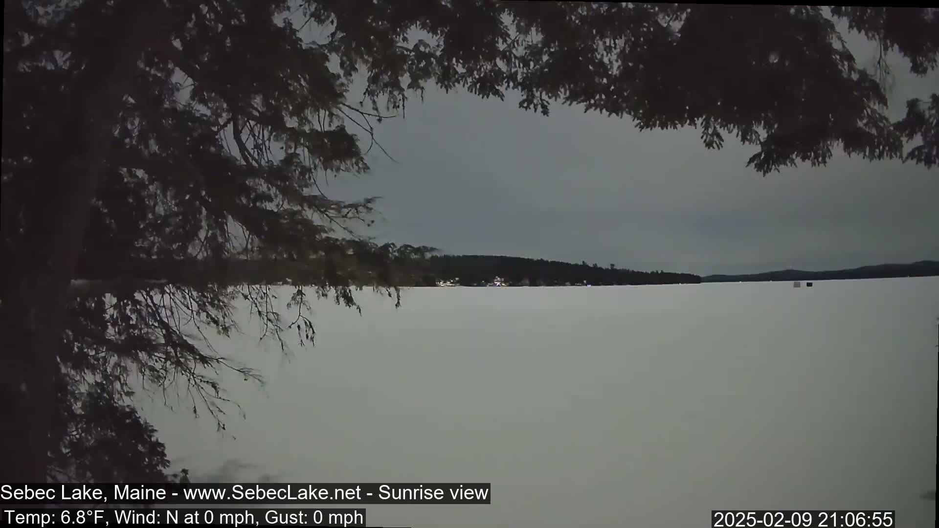 A snow-covered frozen lake is seen from behind a dark tree branch under a gray sky.