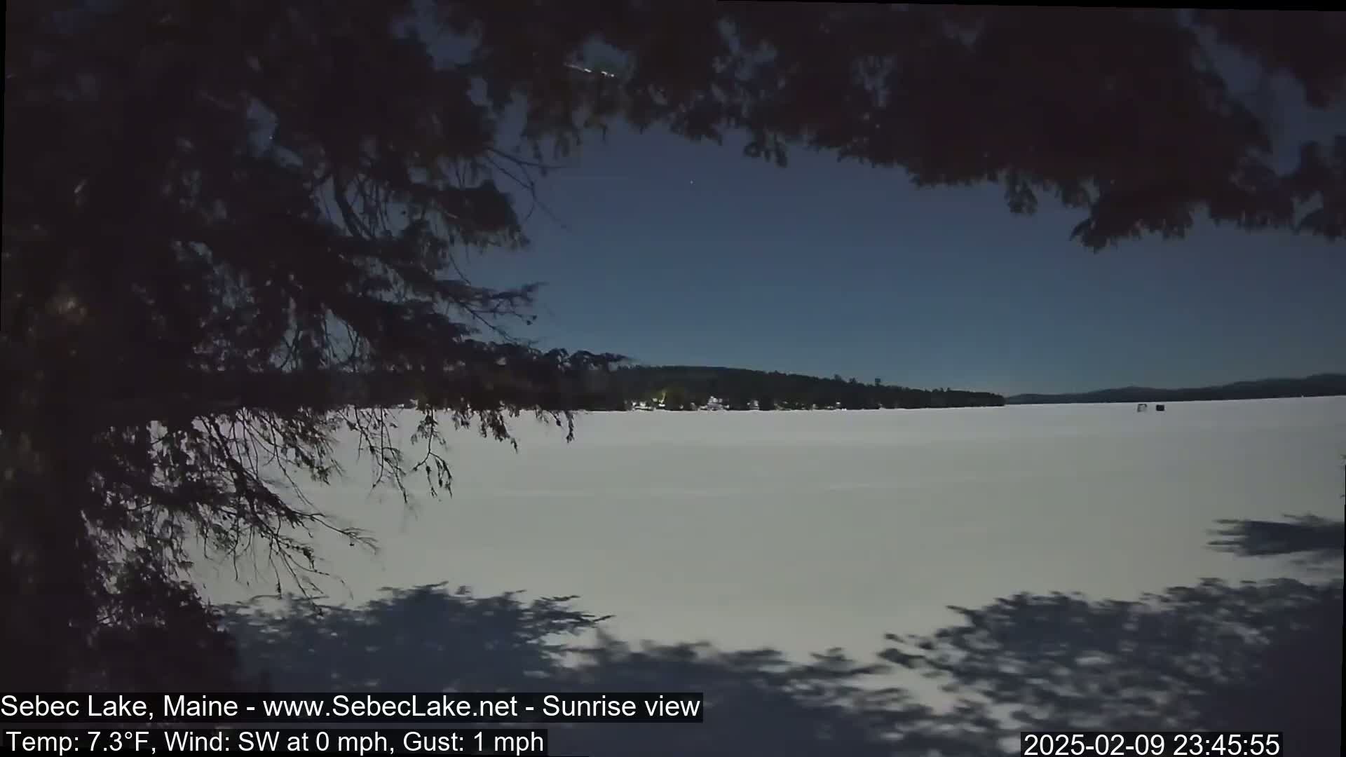 A frozen lake under a twilight sky is viewed from behind a silhouetted tree, with a calm wind.