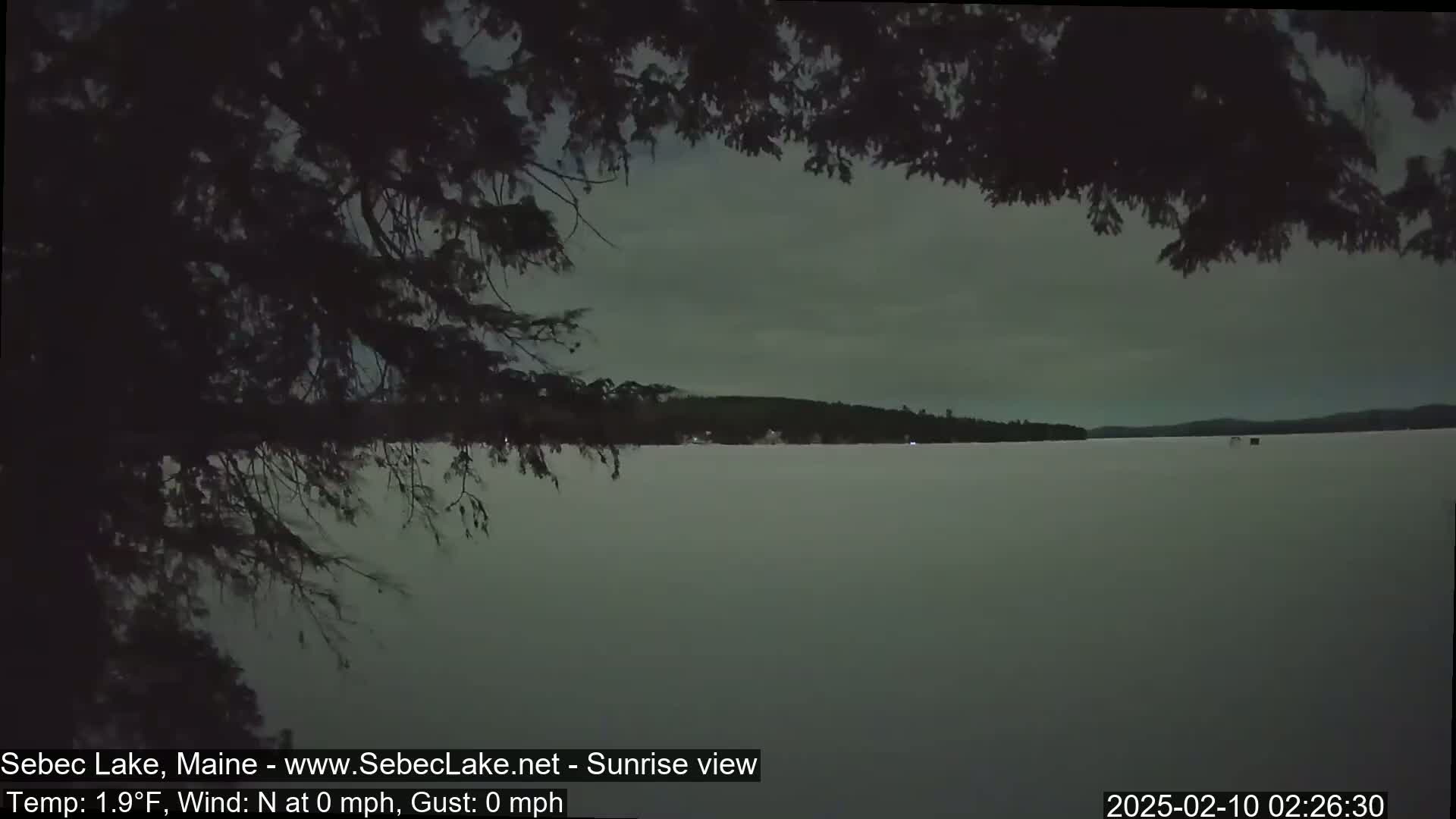 A calm, pre-dawn view of a frozen lake under an overcast sky is seen from behind tree branches.