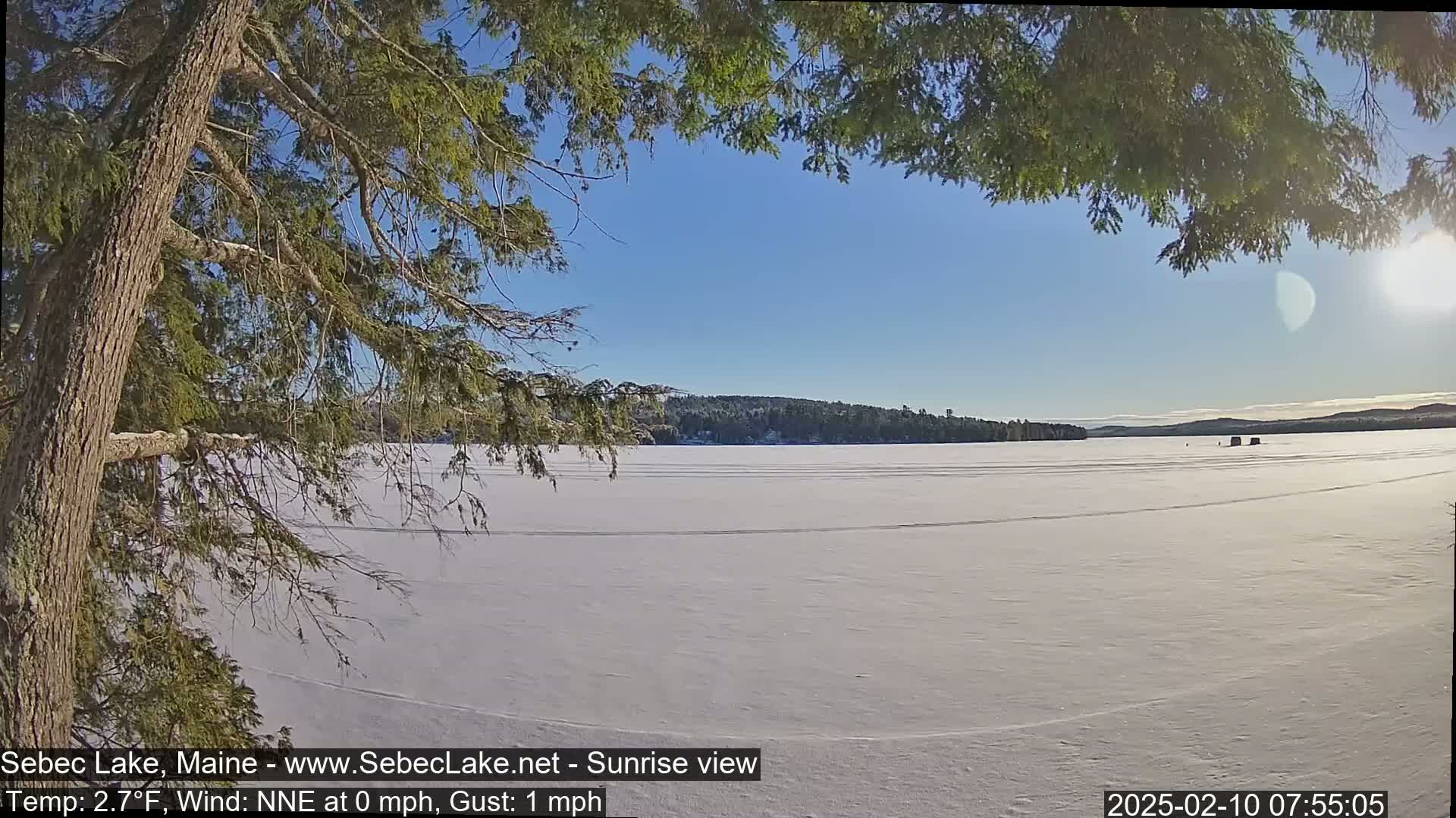 A snow-covered frozen lake is seen through the branches of a pine tree on a sunny, cold day.
