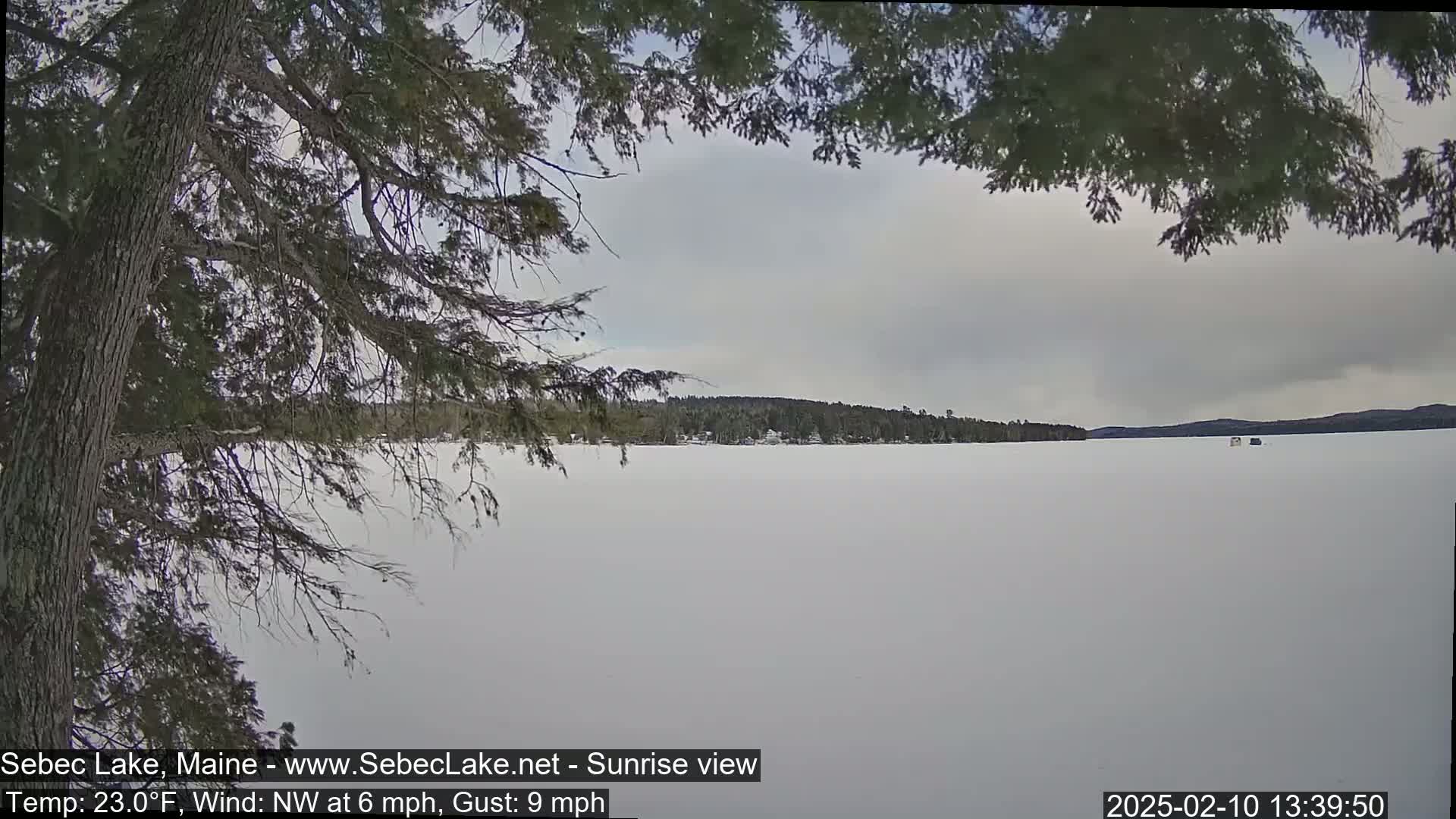A snow-covered frozen lake is seen through the branches of a coniferous tree under an overcast sky.