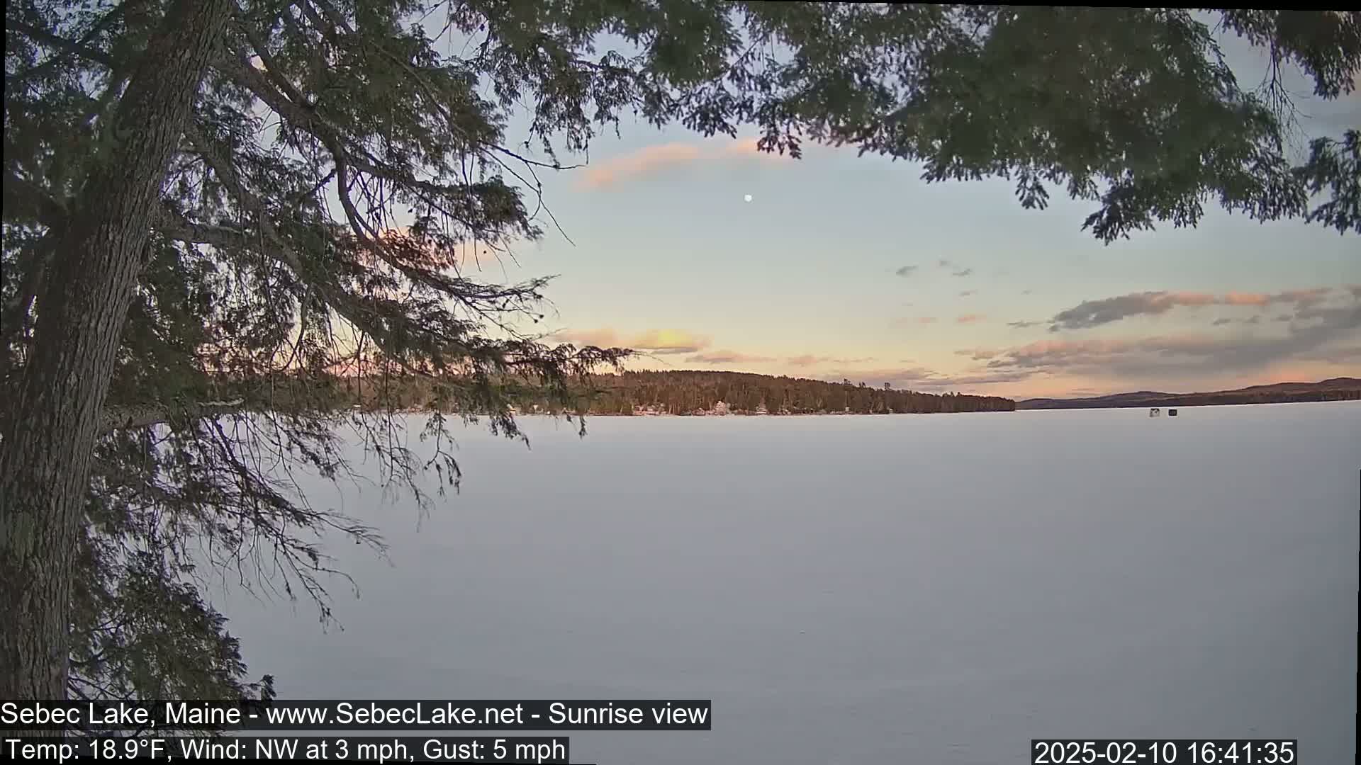 A frozen lake stretches to a tree-lined horizon under a pale, pinkish sky at sunset, viewed from behind a low-hanging tree branch.