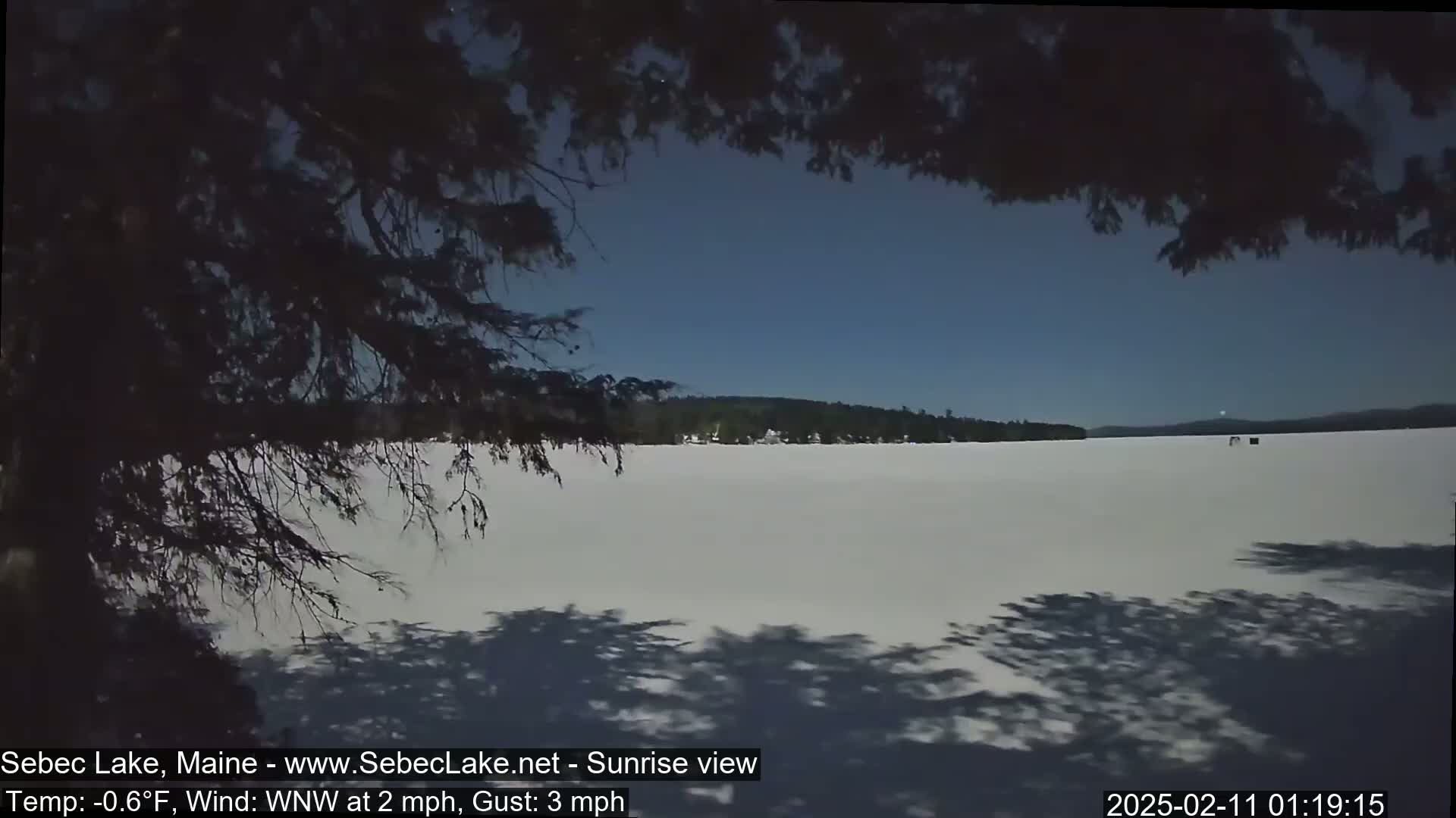 A frozen lake stretches out under a clear, blue sky, partially viewed through the shadows of overhanging tree branches.