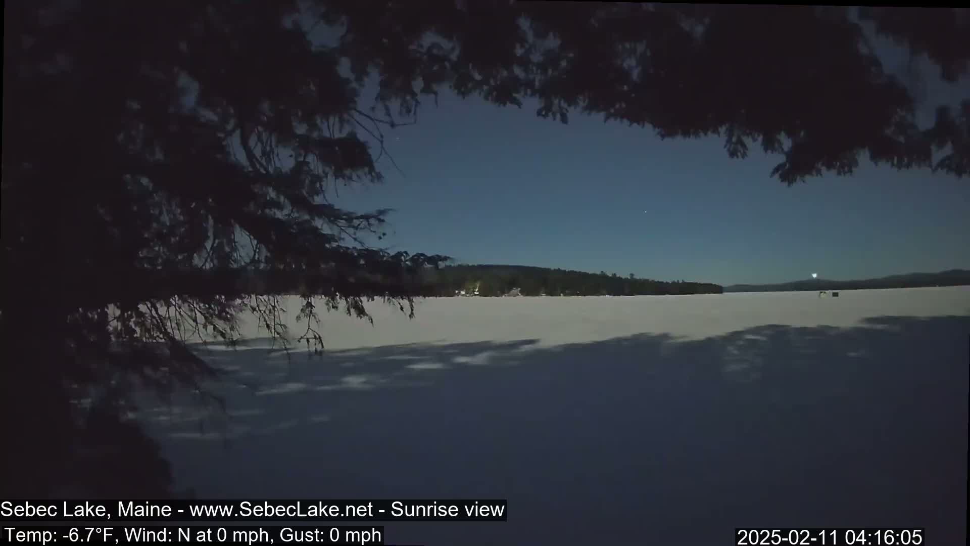A frozen lake is seen at night under a clear, dark sky, partially obscured by tree branches in the foreground.