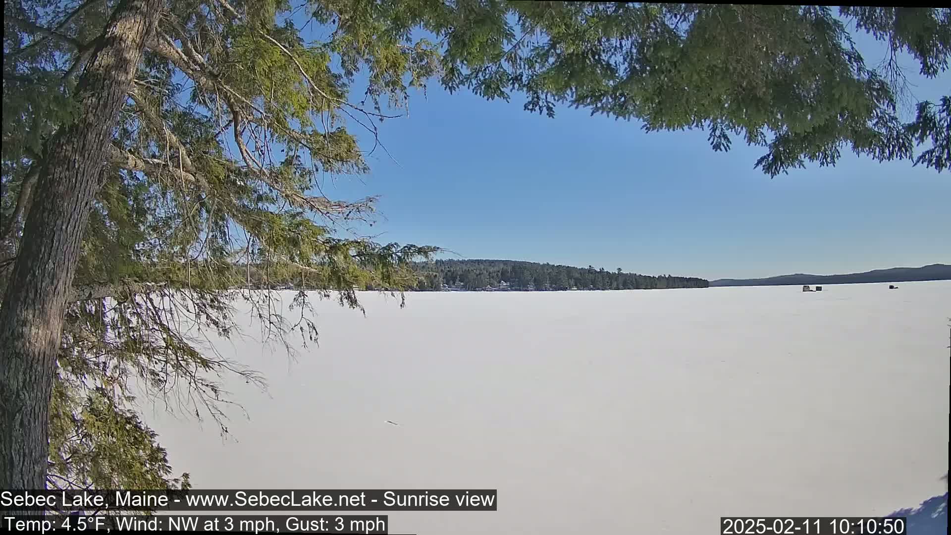 A frozen lake is visible under a clear blue sky, partially framed by evergreen branches, with a slight northwest wind.