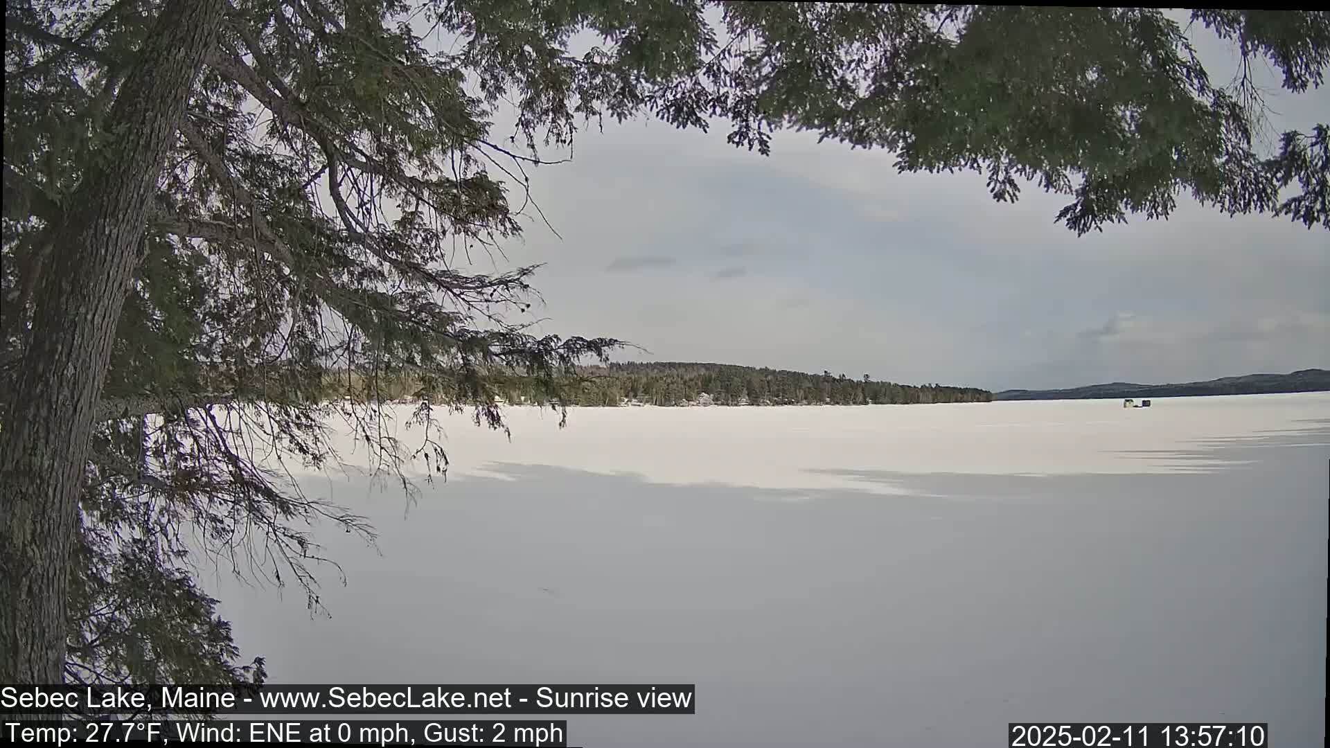 A frozen lake stretches to a snow-covered treeline under a mostly cloudy sky, partially viewed through the branches of a coniferous tree.