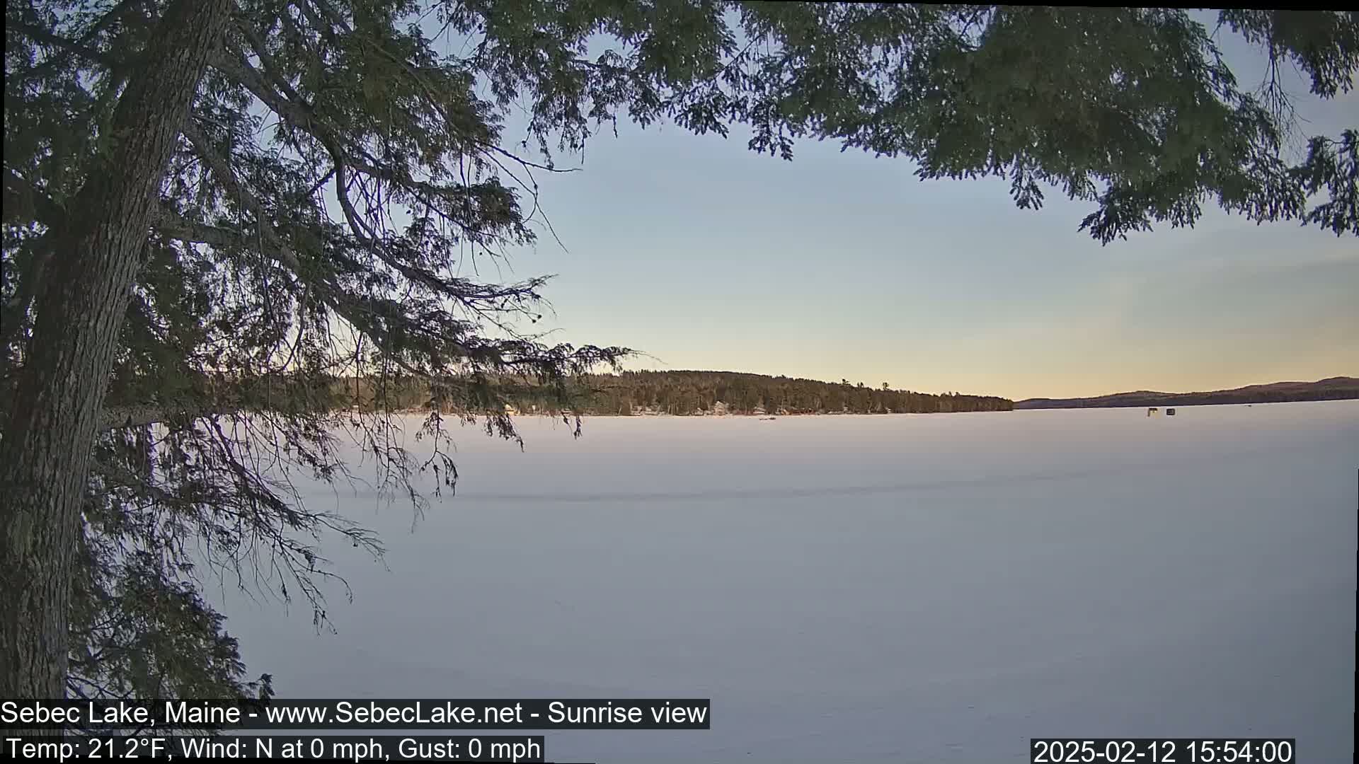 A frozen lake stretches to a treeline under a calm, twilight sky, partially obscured by overhanging branches.