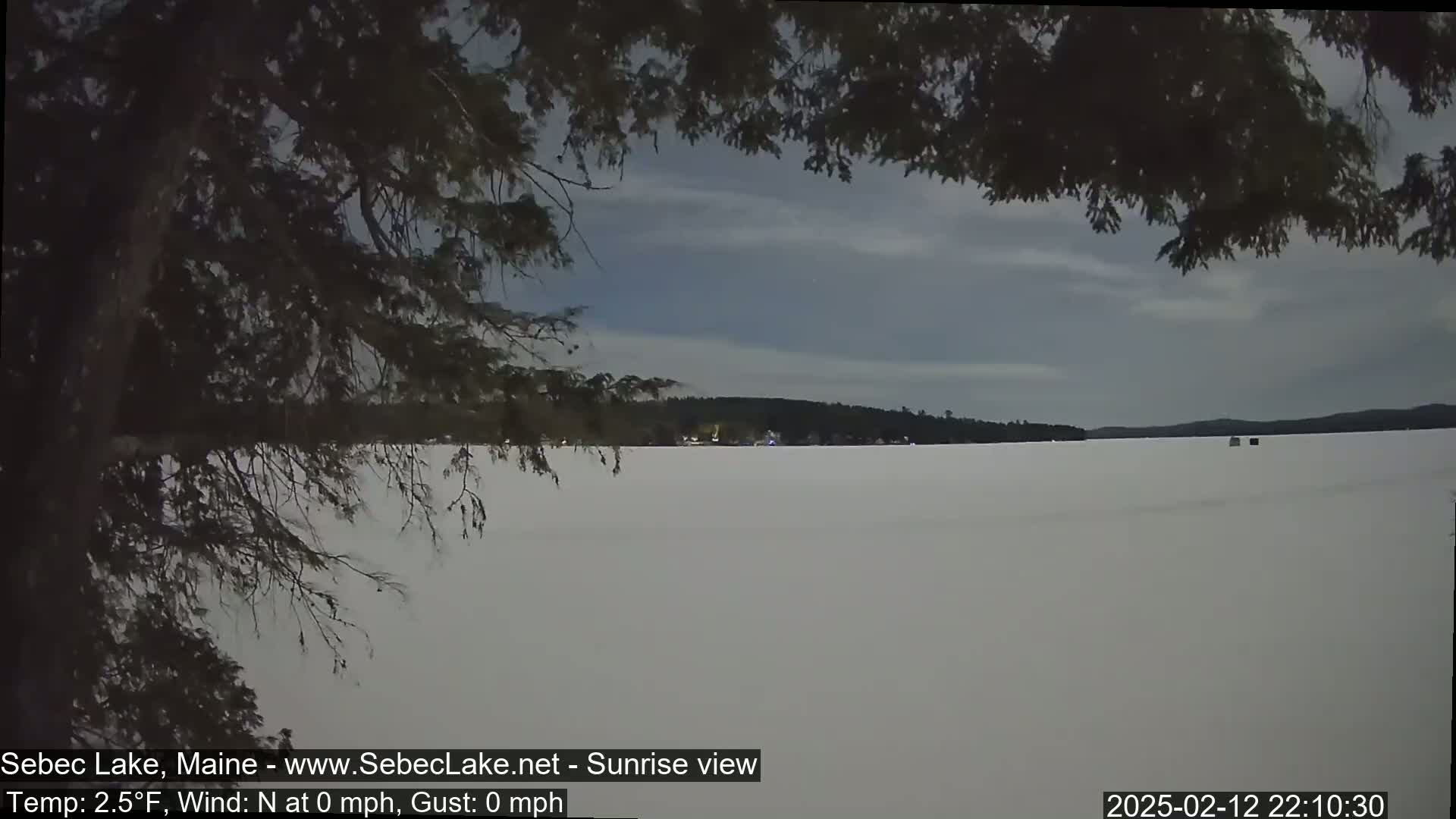 A mostly cloudy, twilight view of a snow-covered frozen lake is seen from behind a dark evergreen tree.