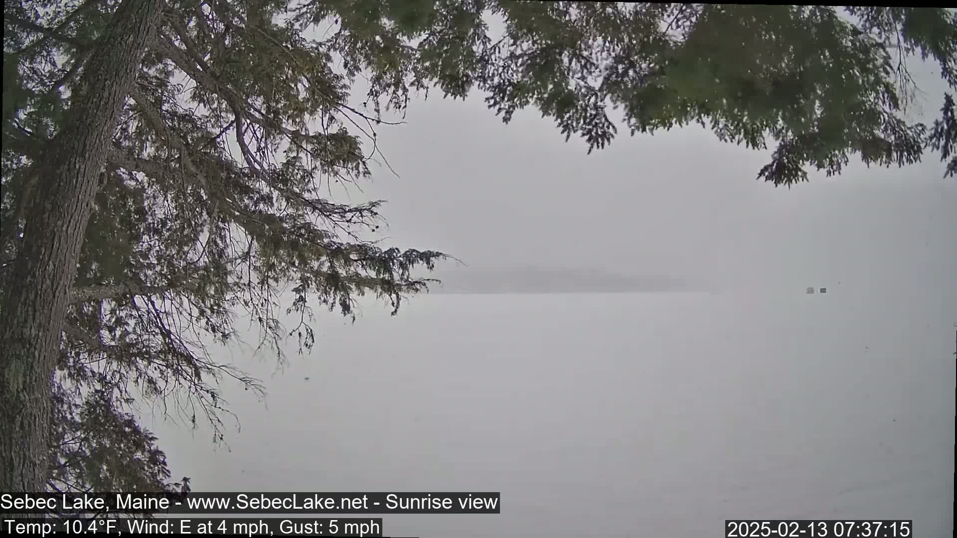 A snowy, overcast view of a lake is seen through the branches of a tree.
