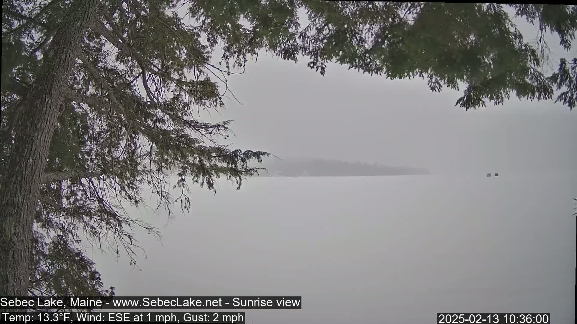 A hazy, snowy view of a lake is seen from behind tree branches in the foreground.