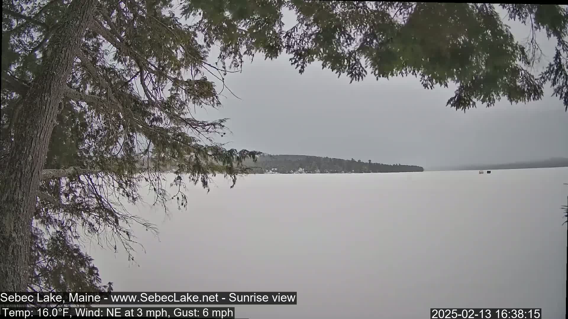 A snow-covered frozen lake stretches to a distant treeline under a gray sky, partially obscured by overhanging branches.