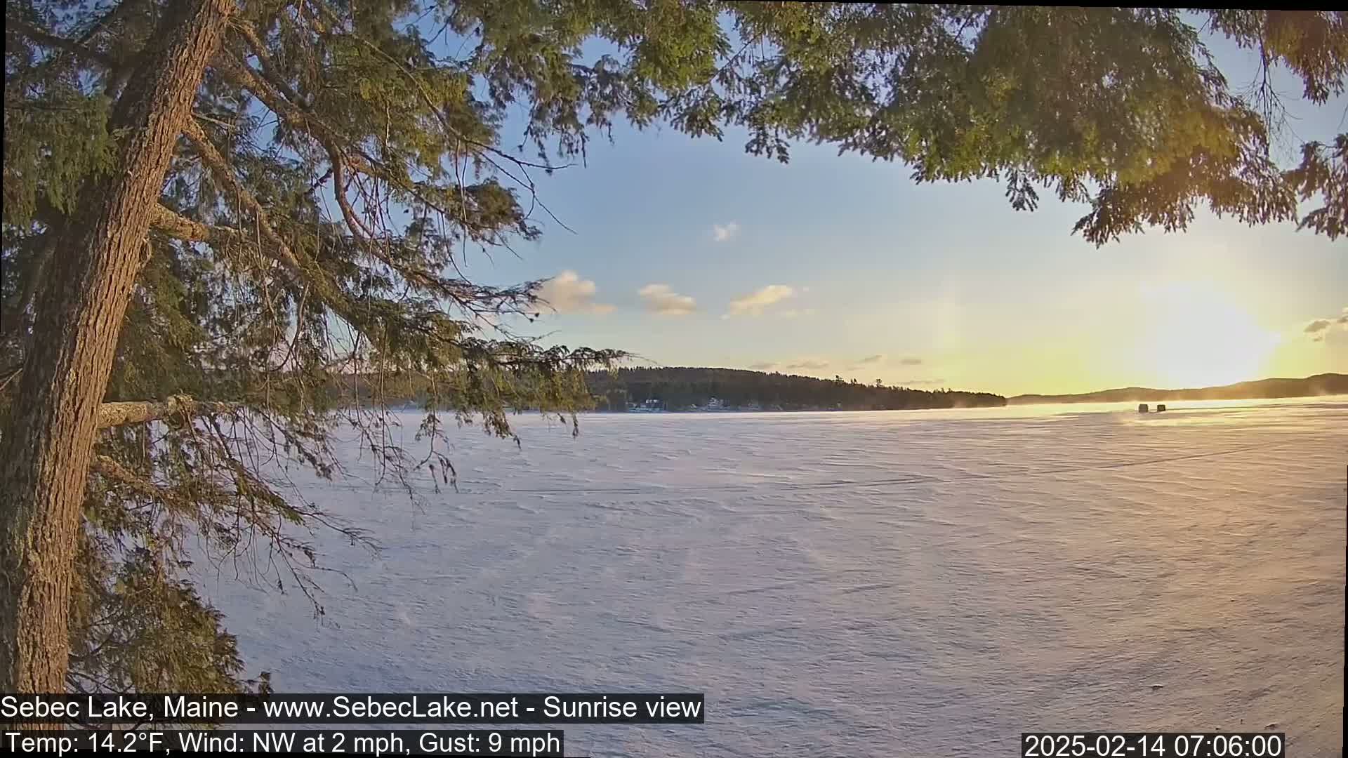 A sunrise casts a golden glow over a snow-covered frozen lake, viewed from behind the branches of a coniferous tree in a light Northwest wind.