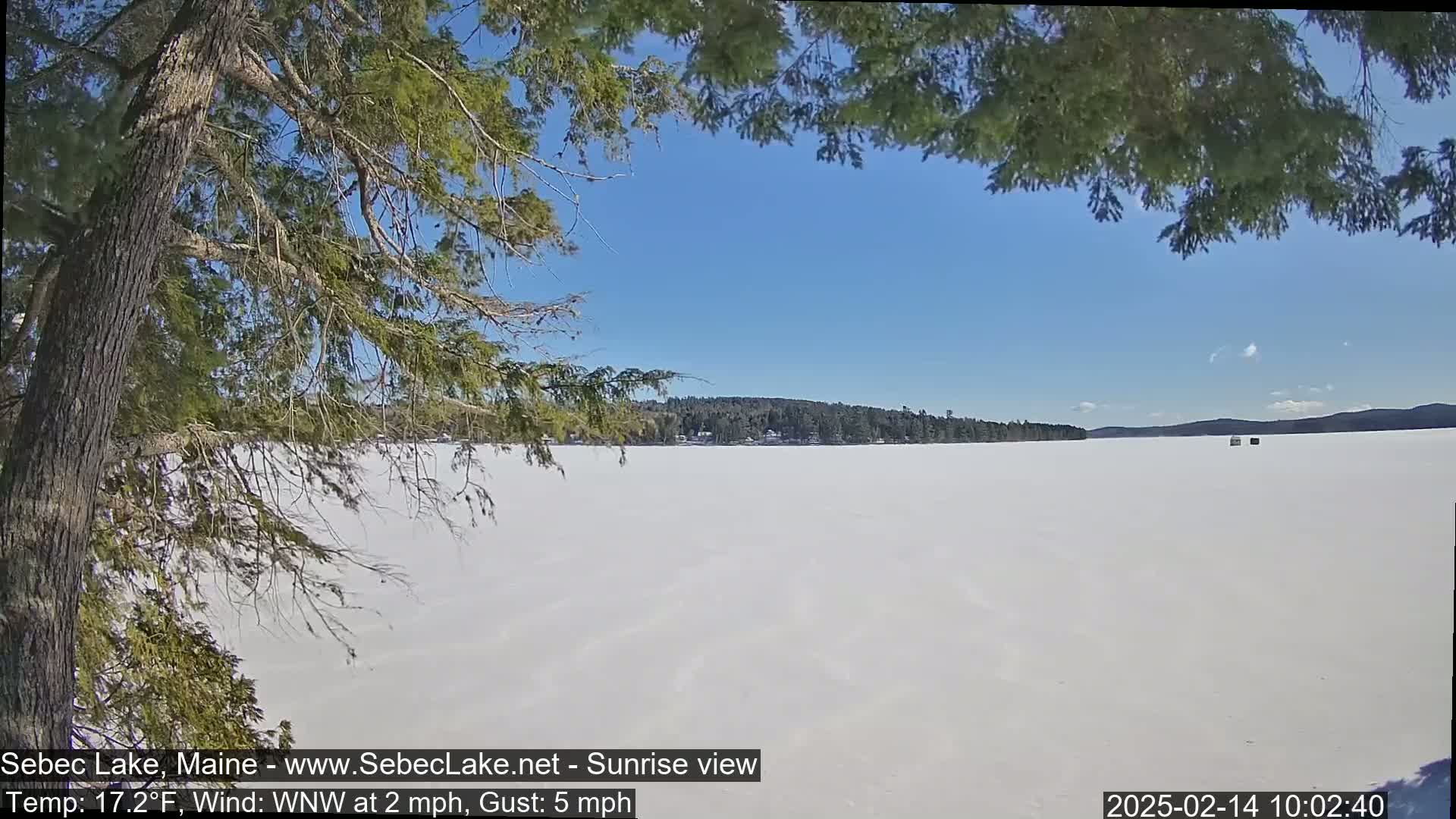 A frozen lake stretches out under a clear blue sky, viewed from behind a snow-covered evergreen tree.