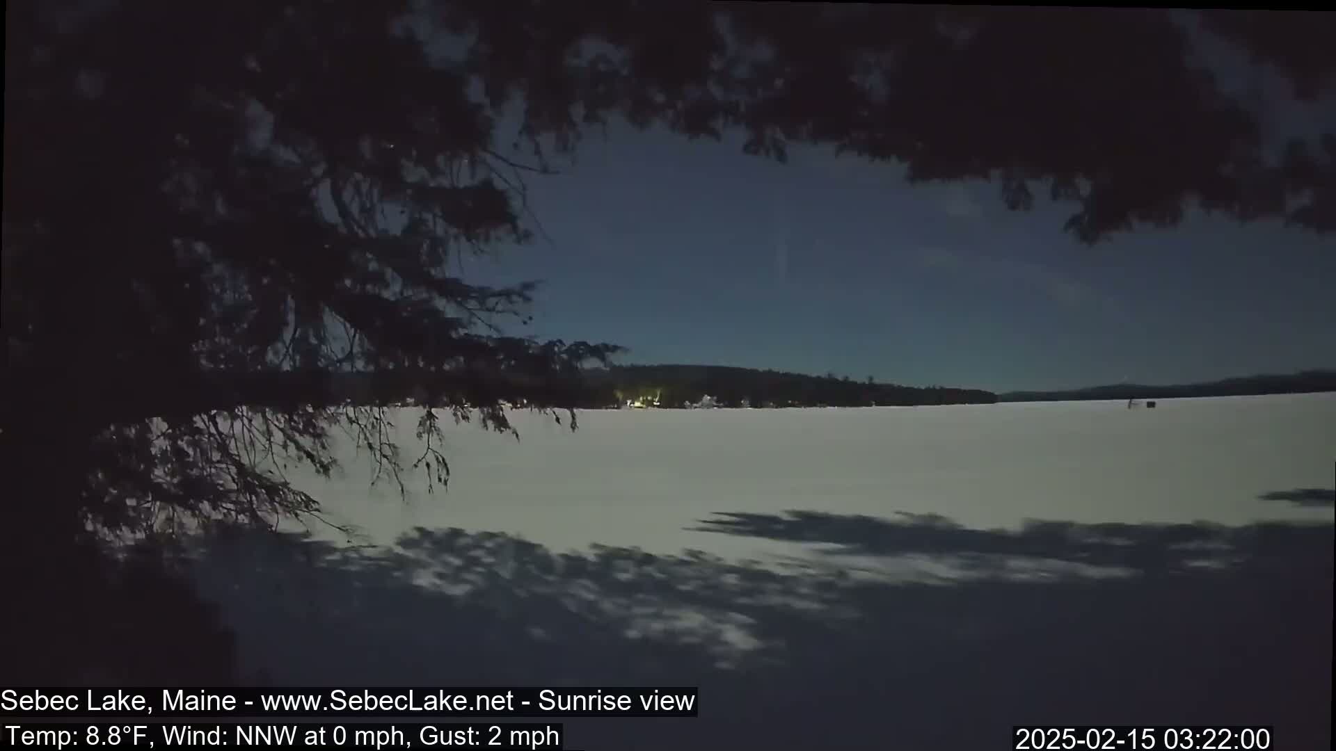 A frozen lake is seen at night under a mostly clear sky, viewed from behind a silhouetted tree.