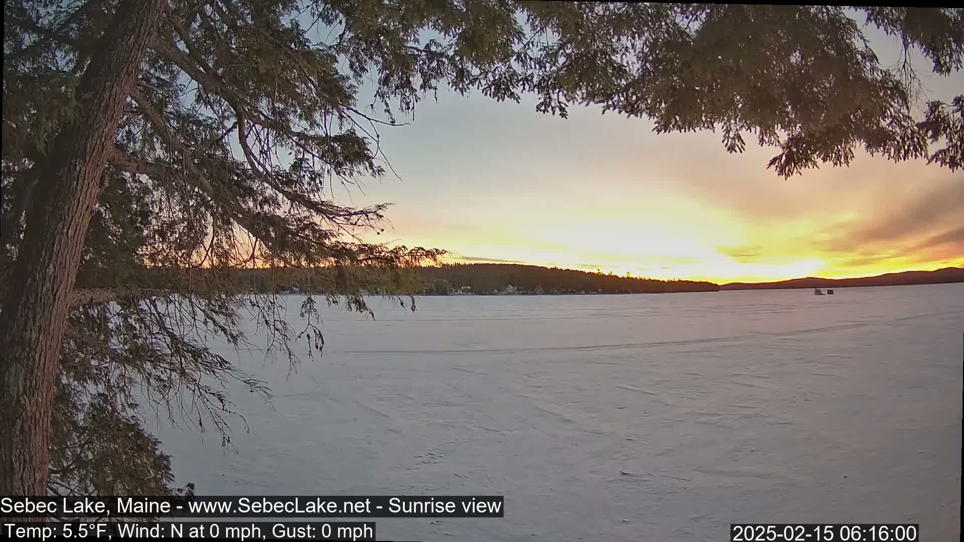 A frozen lake at sunrise is seen through the branches of a tree, with a calm, clear sky displaying warm-toned light.