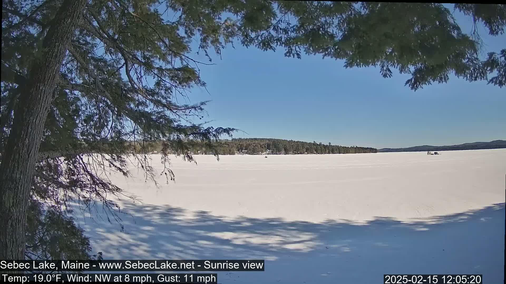 A frozen lake stretches to a tree line under a clear blue sky, partially viewed through overhanging branches.