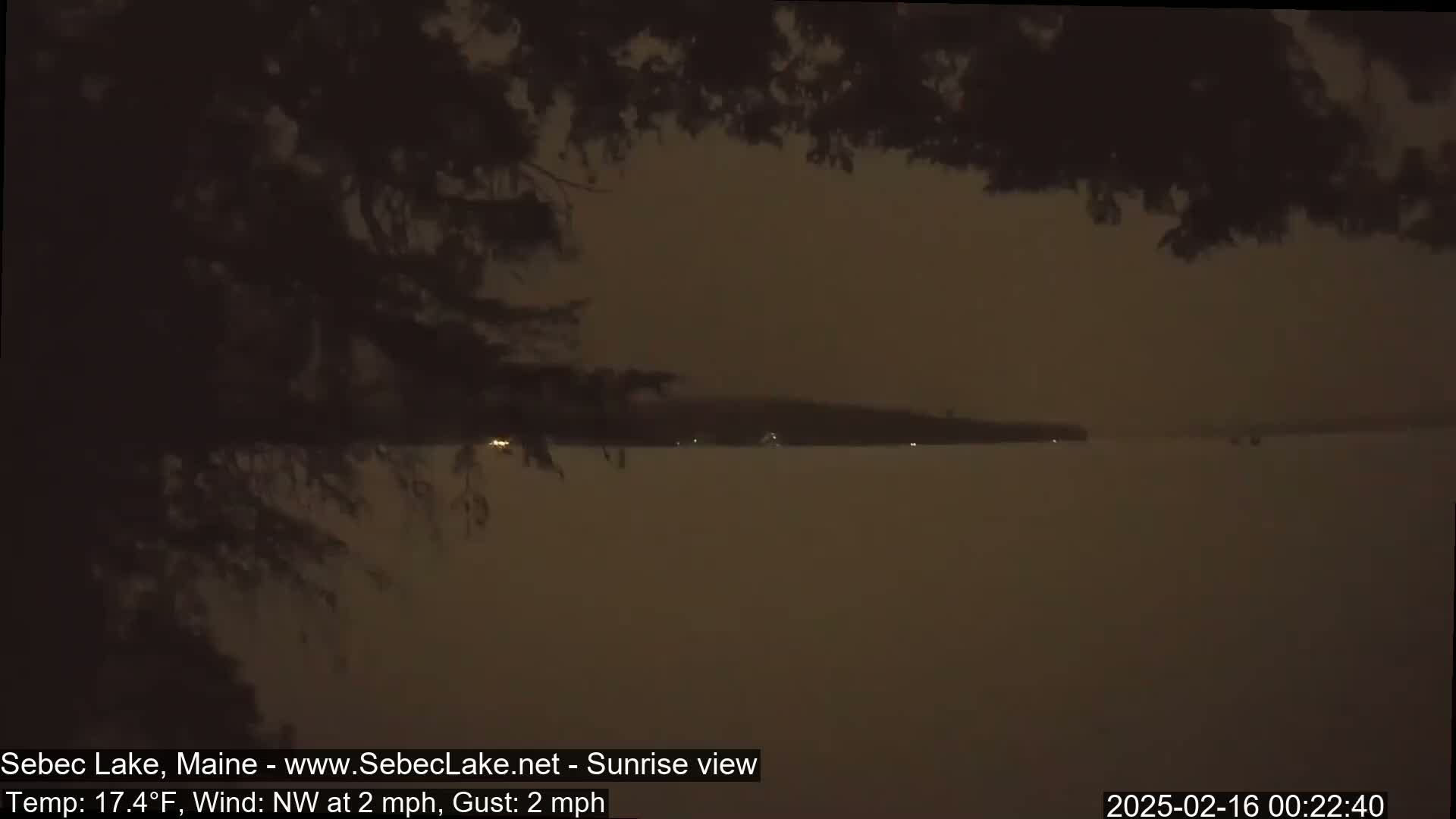 A nighttime view of a calm lake under a dark sky, partially obscured by tree branches in the foreground.