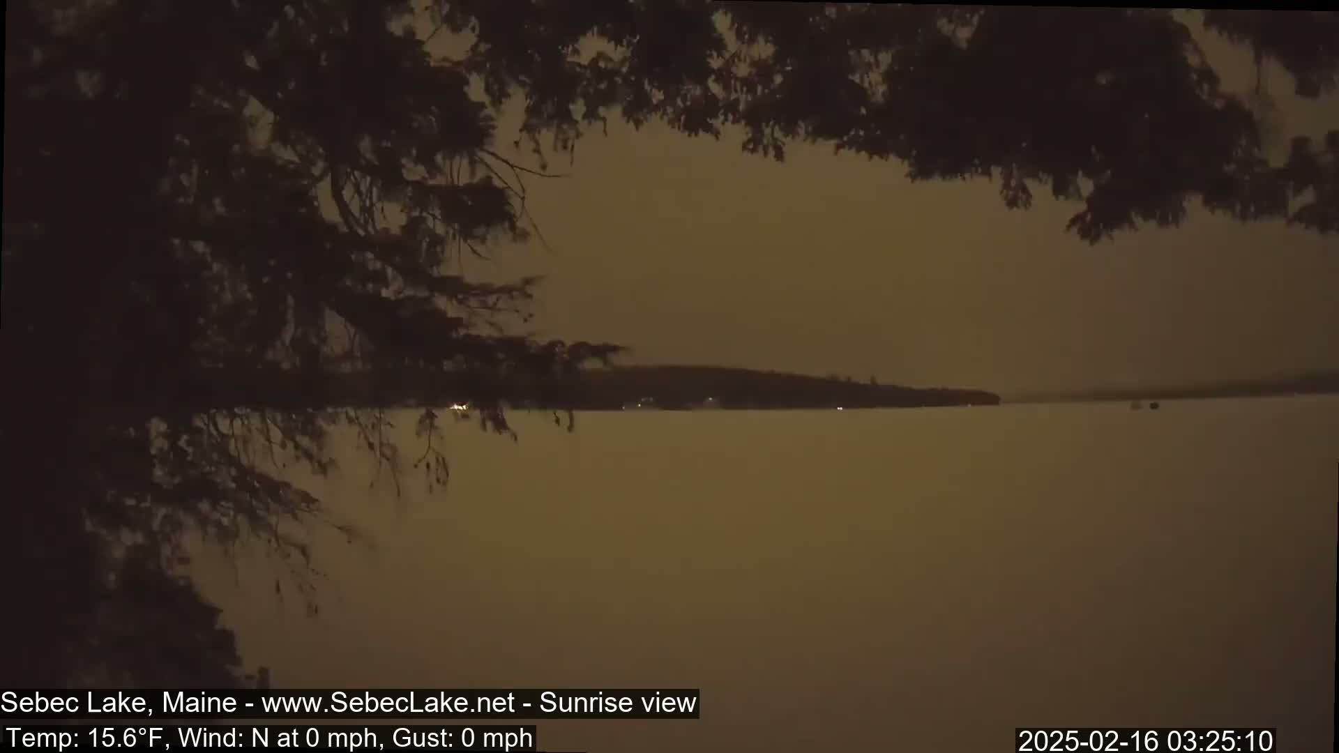 A calm, dark lake is seen at night through the branches of a tree, with a distant landmass faintly visible.