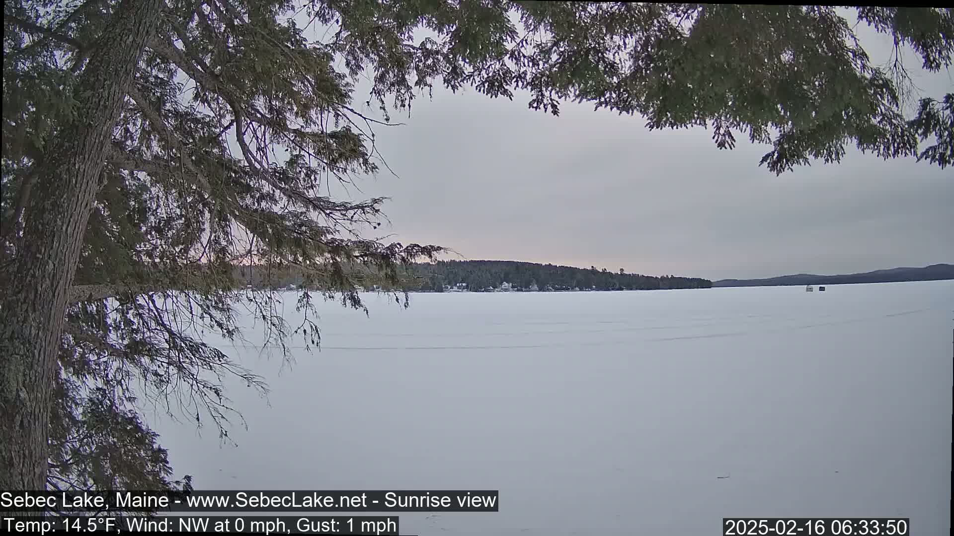A frozen lake is seen under an overcast sky, partially obscured by tree branches in the foreground.