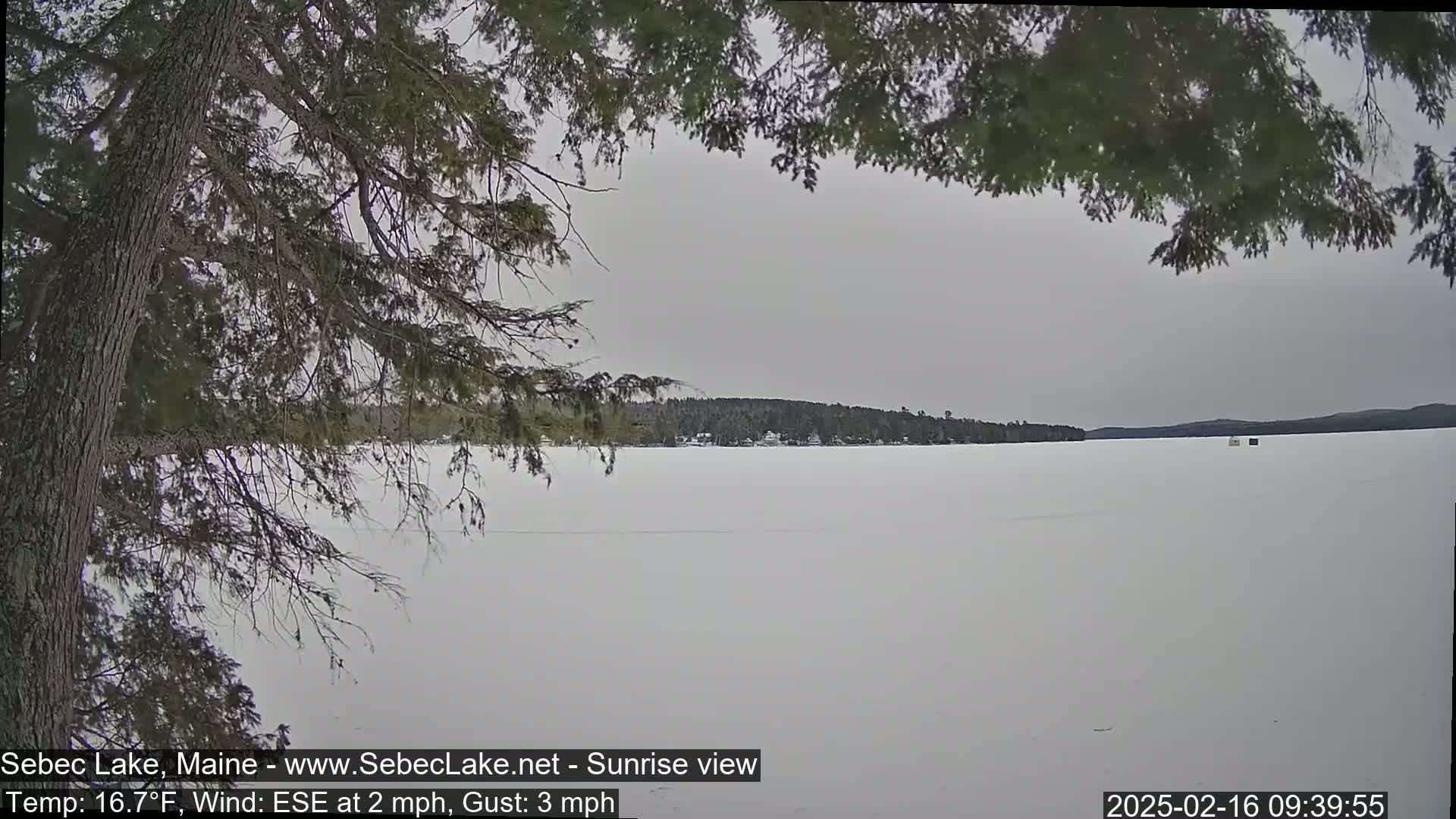 A snow-covered lake is seen through the branches of a tree under an overcast sky.