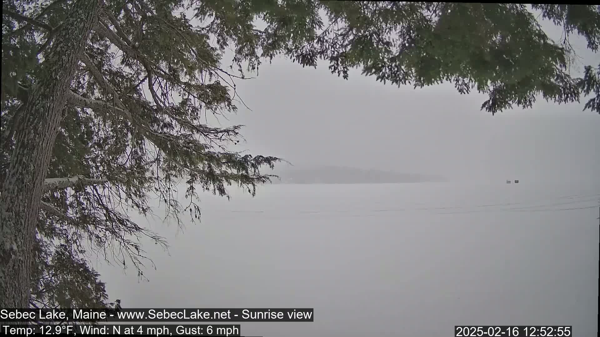 A snowy, overcast view of a lake shows a distant shoreline partially obscured by falling snow.