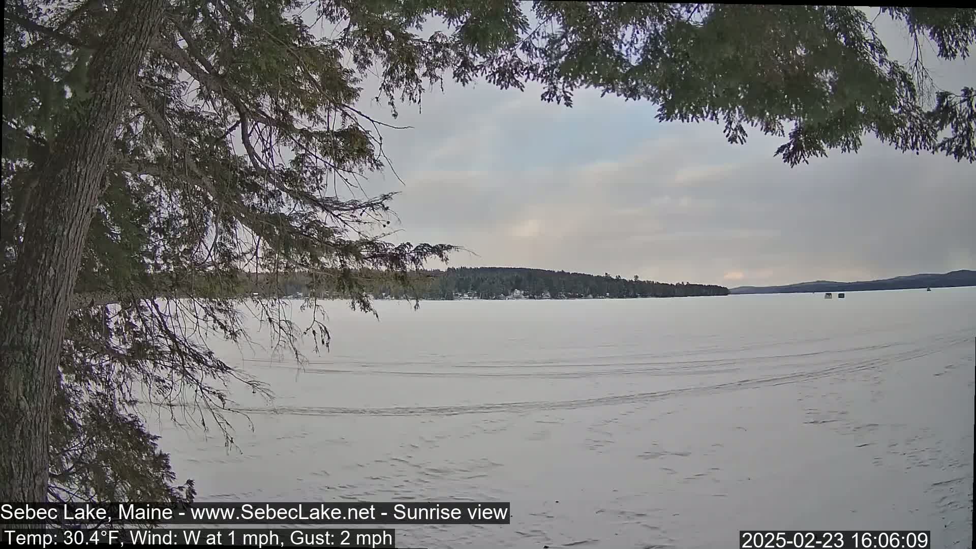 A snow-covered frozen lake is seen from behind a tree branch, with a treeline visible in the distance under a cloudy sky.