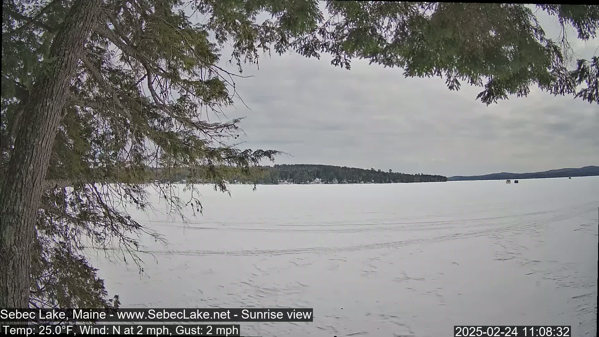 A frozen lake stretches out under an overcast sky, viewed from behind a tree's branches; a gentle north wind blows.