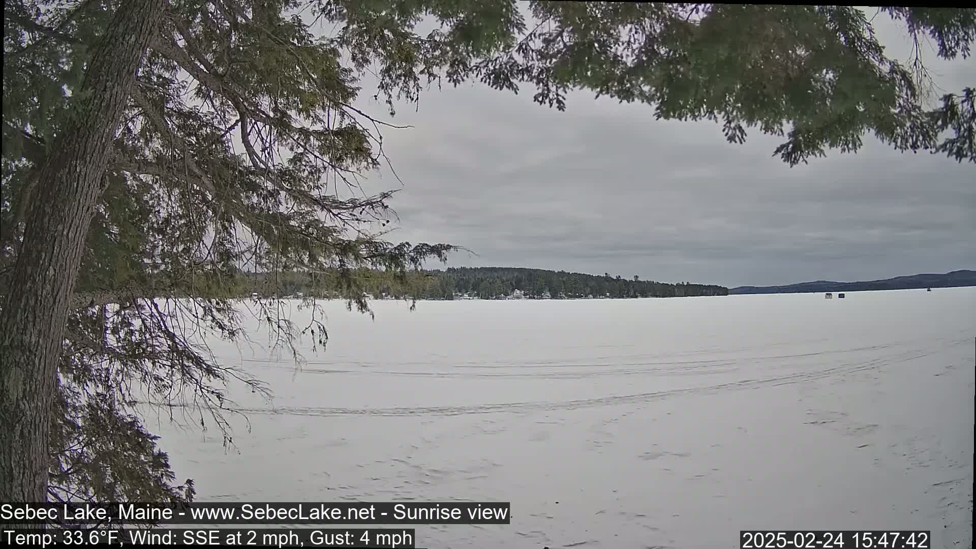 A snow-covered frozen lake stretches to a treeline under an overcast sky, partially obscured by overhanging tree branches.