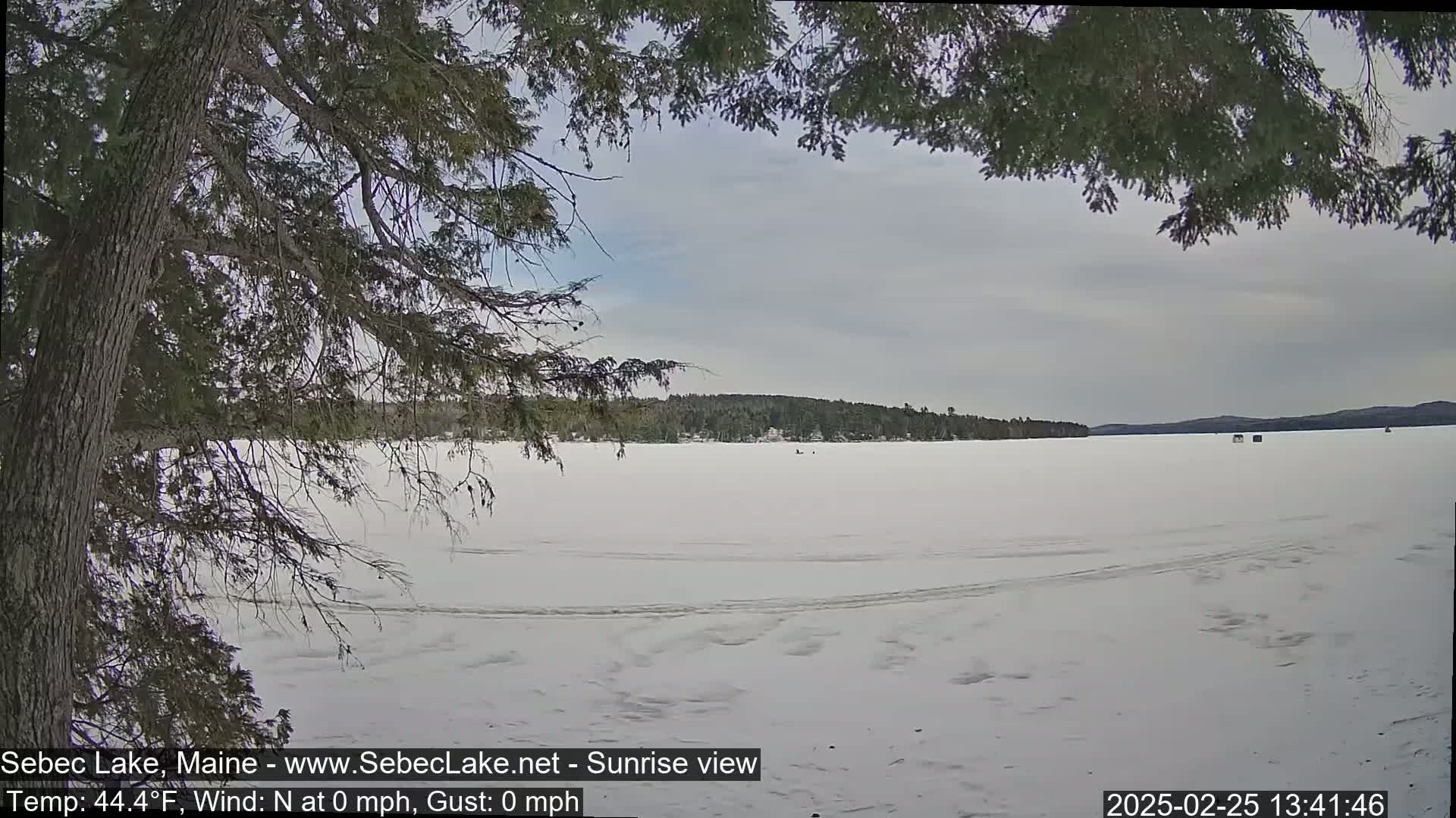 A snow-covered frozen lake is seen through the branches of a coniferous tree under a cloudy sky.