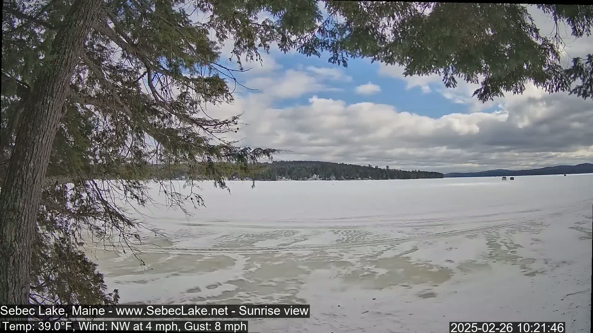 A partly cloudy sky over a frozen lake is seen through the branches of a coniferous tree.