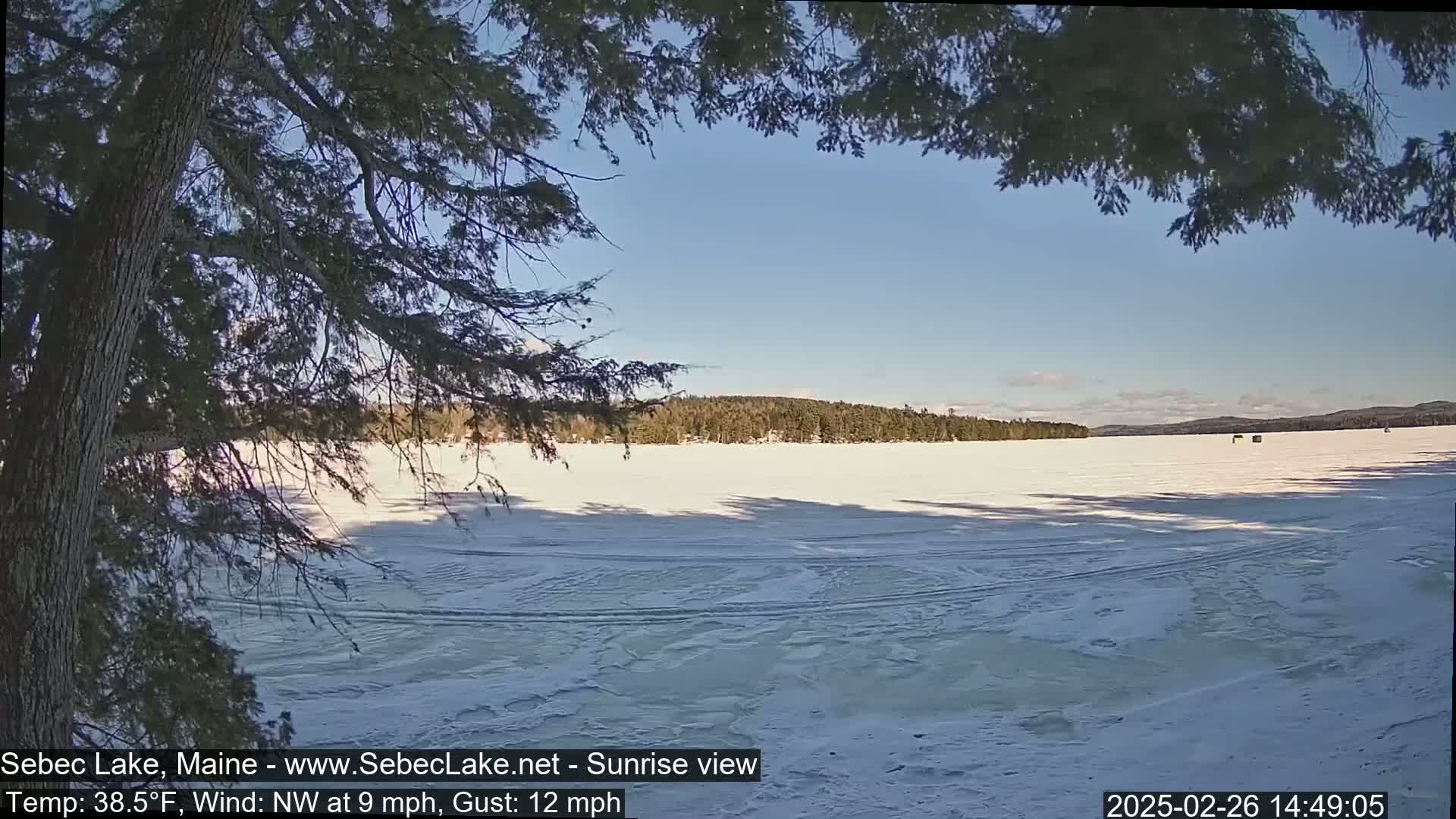 A frozen lake, partially visible through overhanging branches, stretches to a treeline under a clear, sunny sky with a light northwest wind.