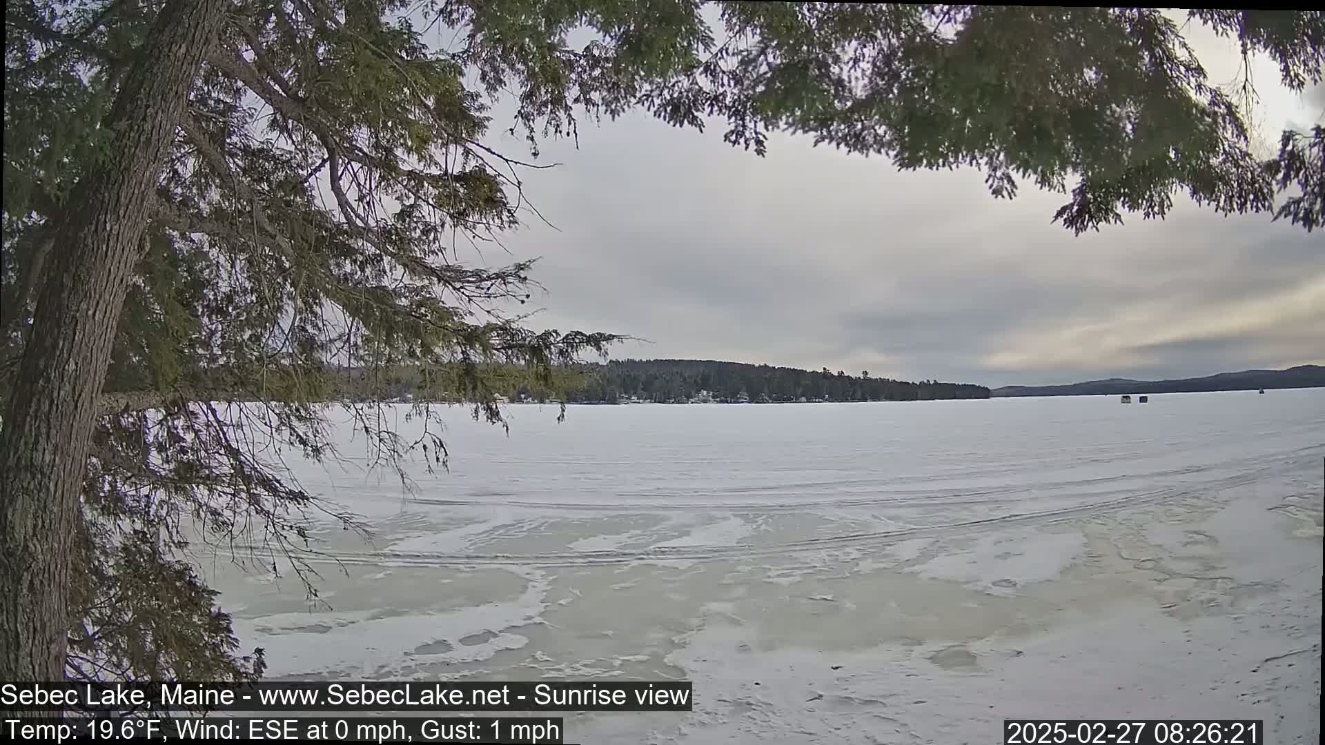 A frozen lake is seen from a lakeside vantage point under an overcast sky, partially obscured by overhanging tree branches.