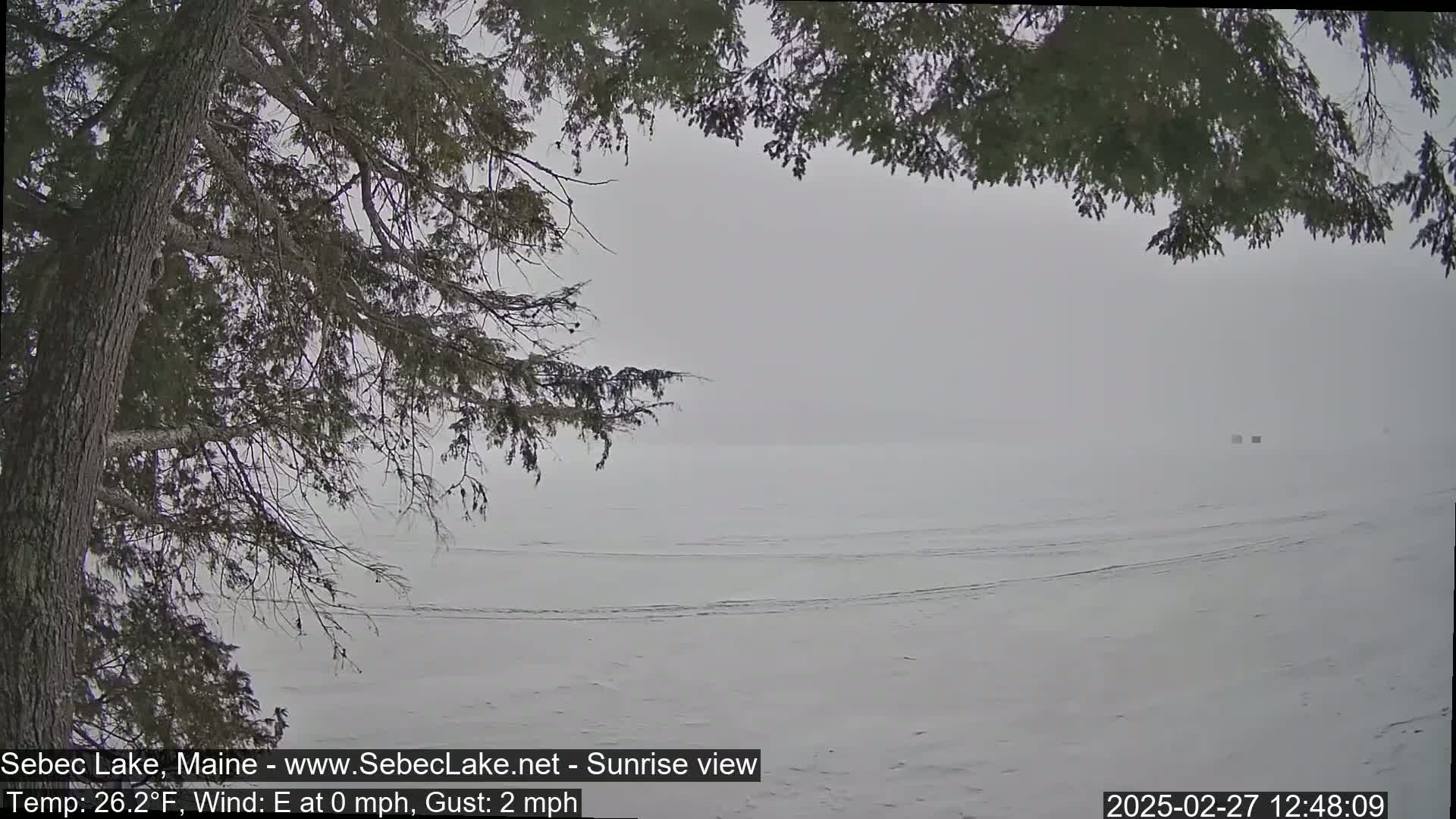 A snow-covered frozen lake is visible through the branches of a coniferous tree in foggy conditions.