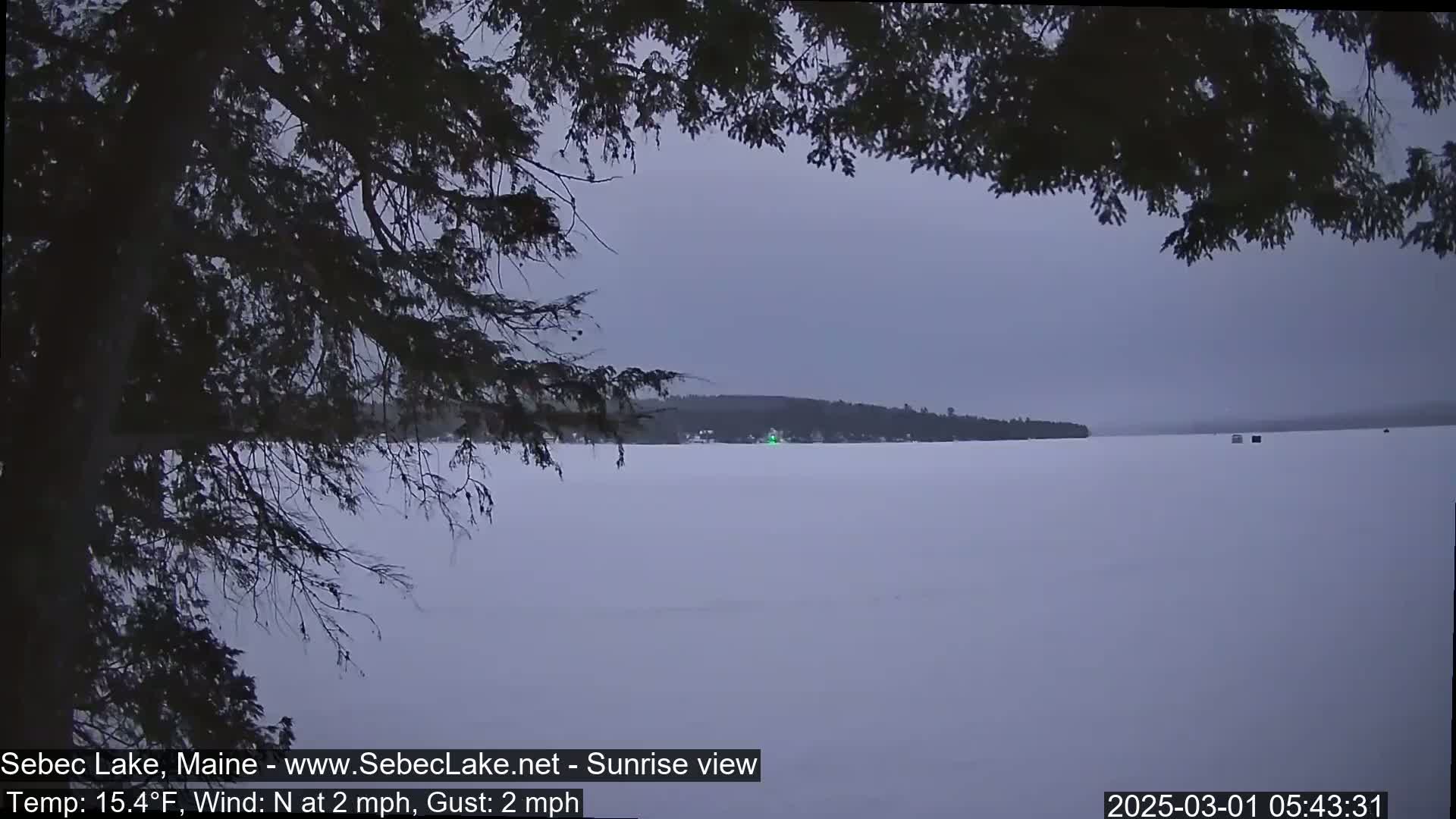 A frozen lake is seen through the branches of a dark evergreen tree, under a pale, overcast sky.