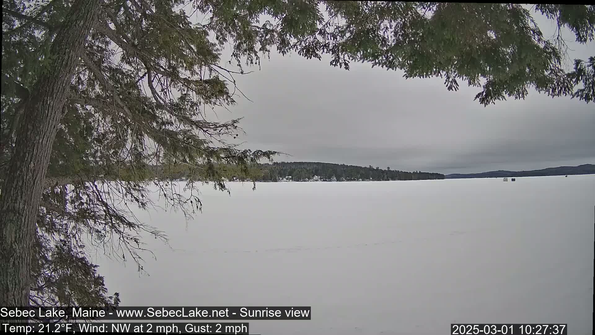 A snow-covered frozen lake stretches to a tree-lined distant shore under an overcast sky, partially viewed through the branches of a coniferous tree.