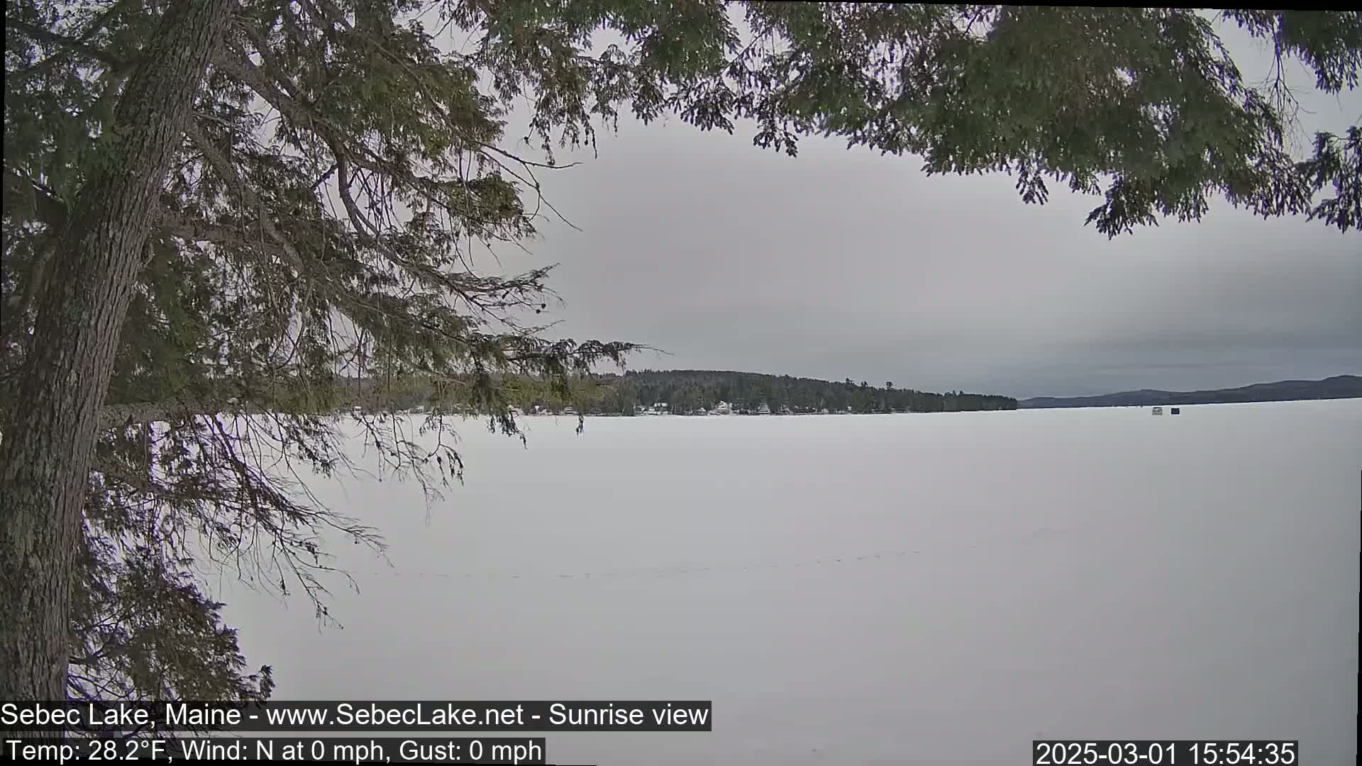 A snow-covered frozen lake is seen through the branches of a tree under an overcast sky.