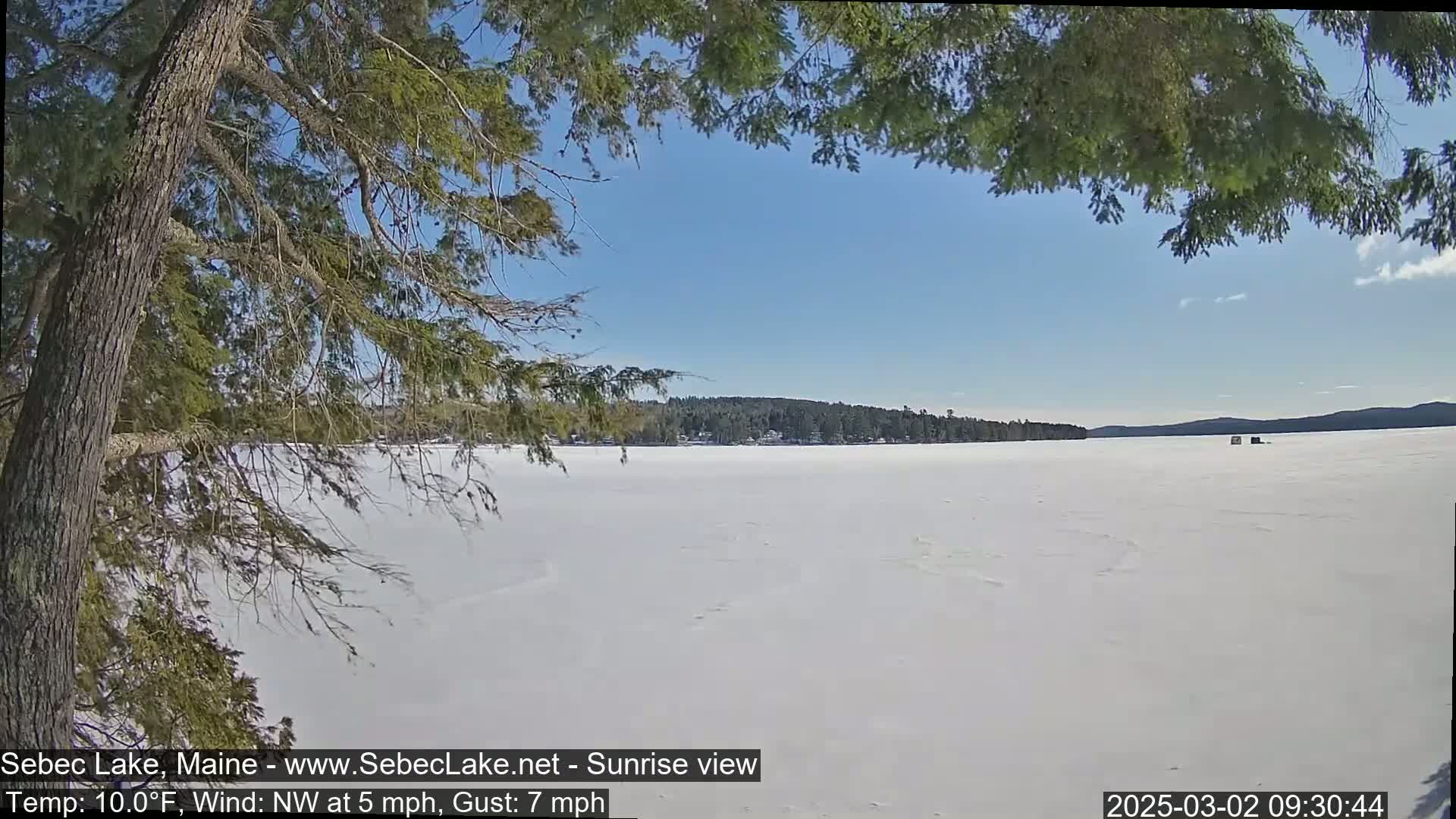 A frozen lake stretches out under a clear blue sky, partially obscured by the branches of a coniferous tree in the foreground.
