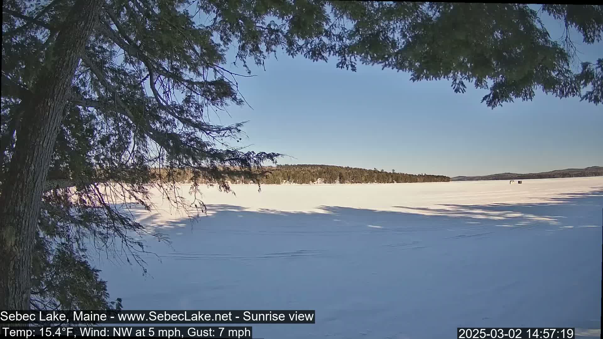 A snow-covered frozen lake stretches to a treeline under a clear blue sky, partially framed by the branches of a coniferous tree.