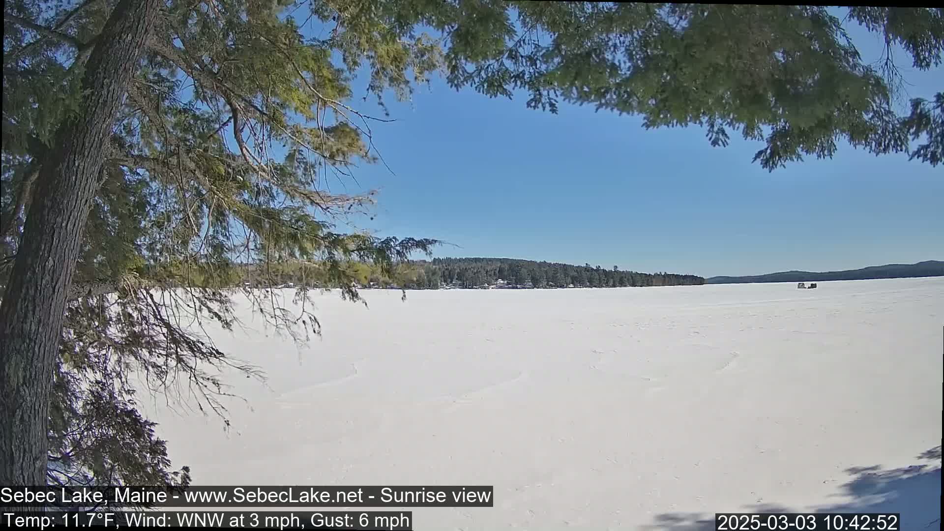 A snow-covered frozen lake is seen from beneath the branches of a pine tree on a clear, sunny day.