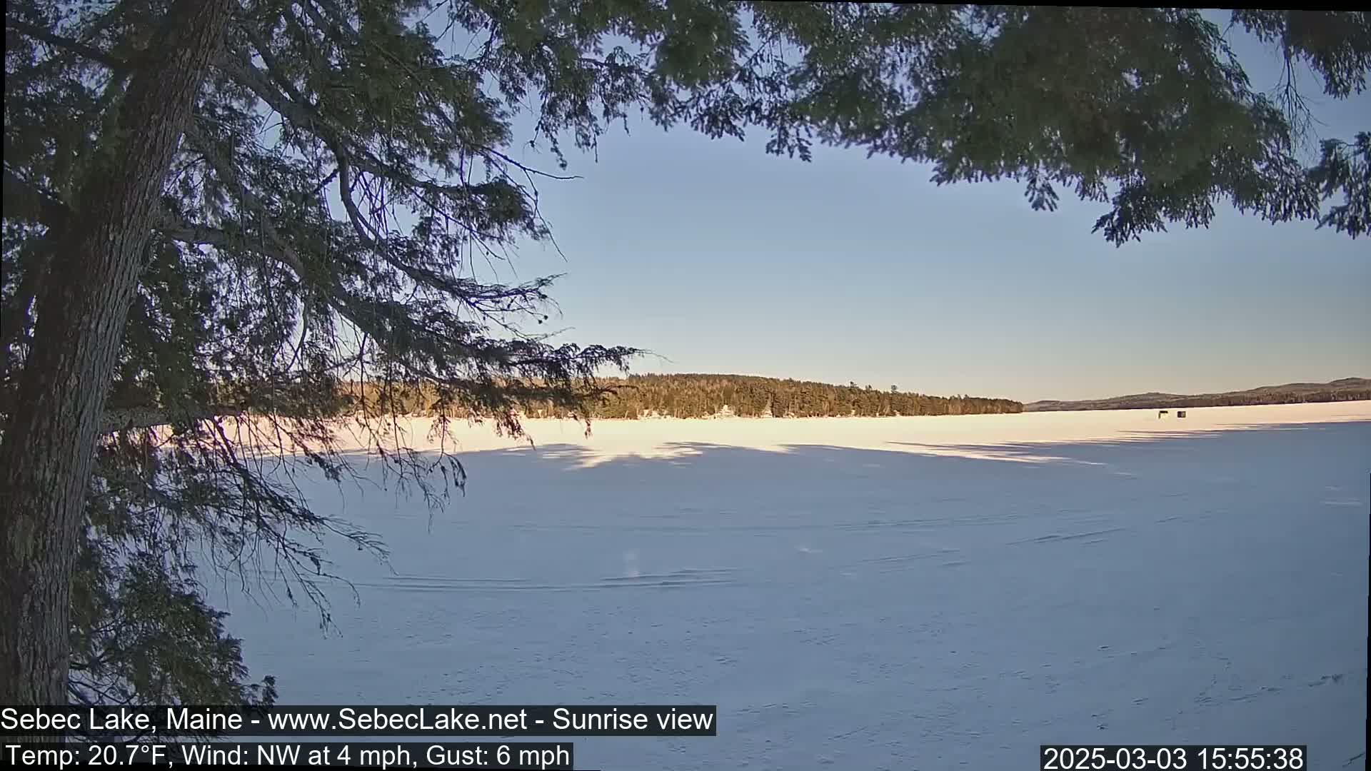 A frozen lake is viewed through the branches of a coniferous tree under a clear, bright sky.