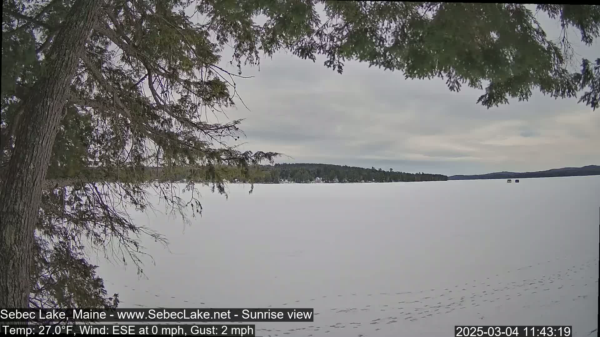 A frozen lake under a cloudy sky is viewed from behind a snow-covered tree, with a distant treeline visible.