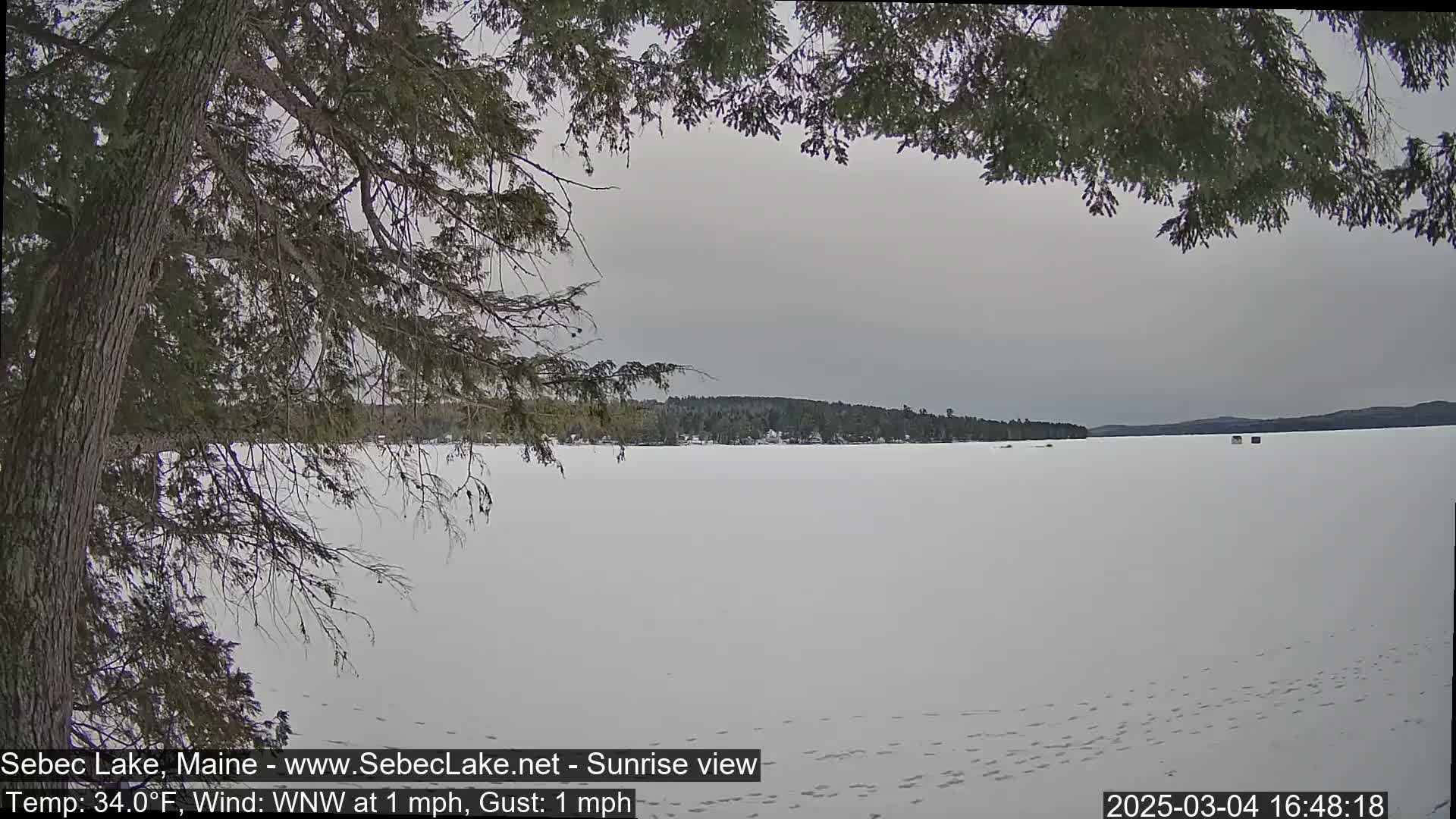 A snow-covered frozen lake stretches to a distant treeline under a gray sky, partially viewed through the branches of a coniferous tree.