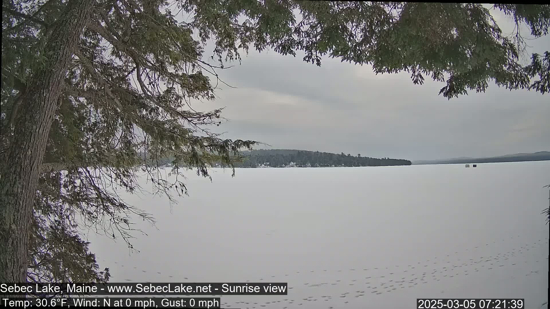 A snow-covered frozen lake is viewed from behind a tree, with a calm, overcast sky and distant shoreline.